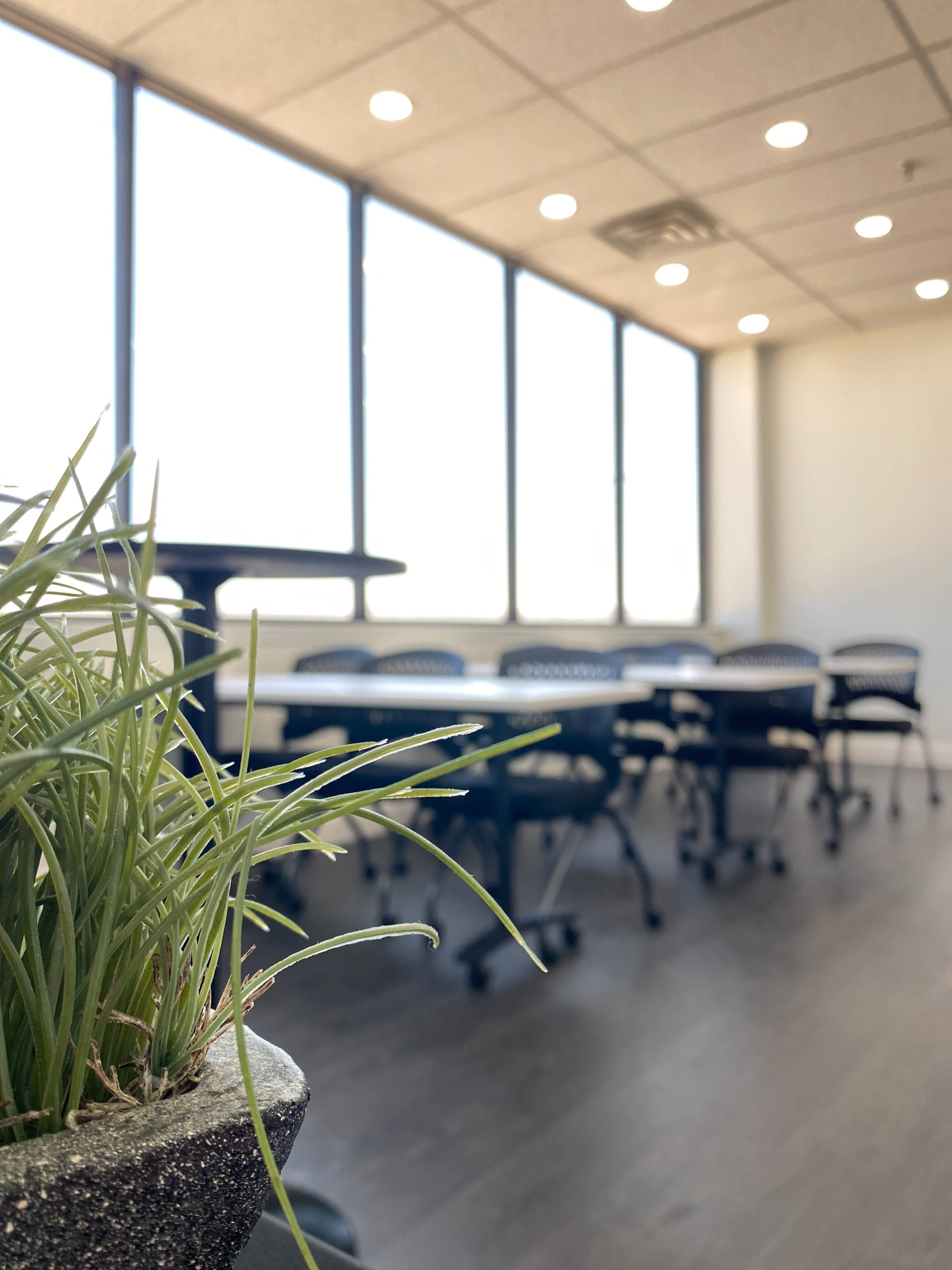A meeting room features a potted plant in the foreground and rows of chairs at a table against a wall of windows.