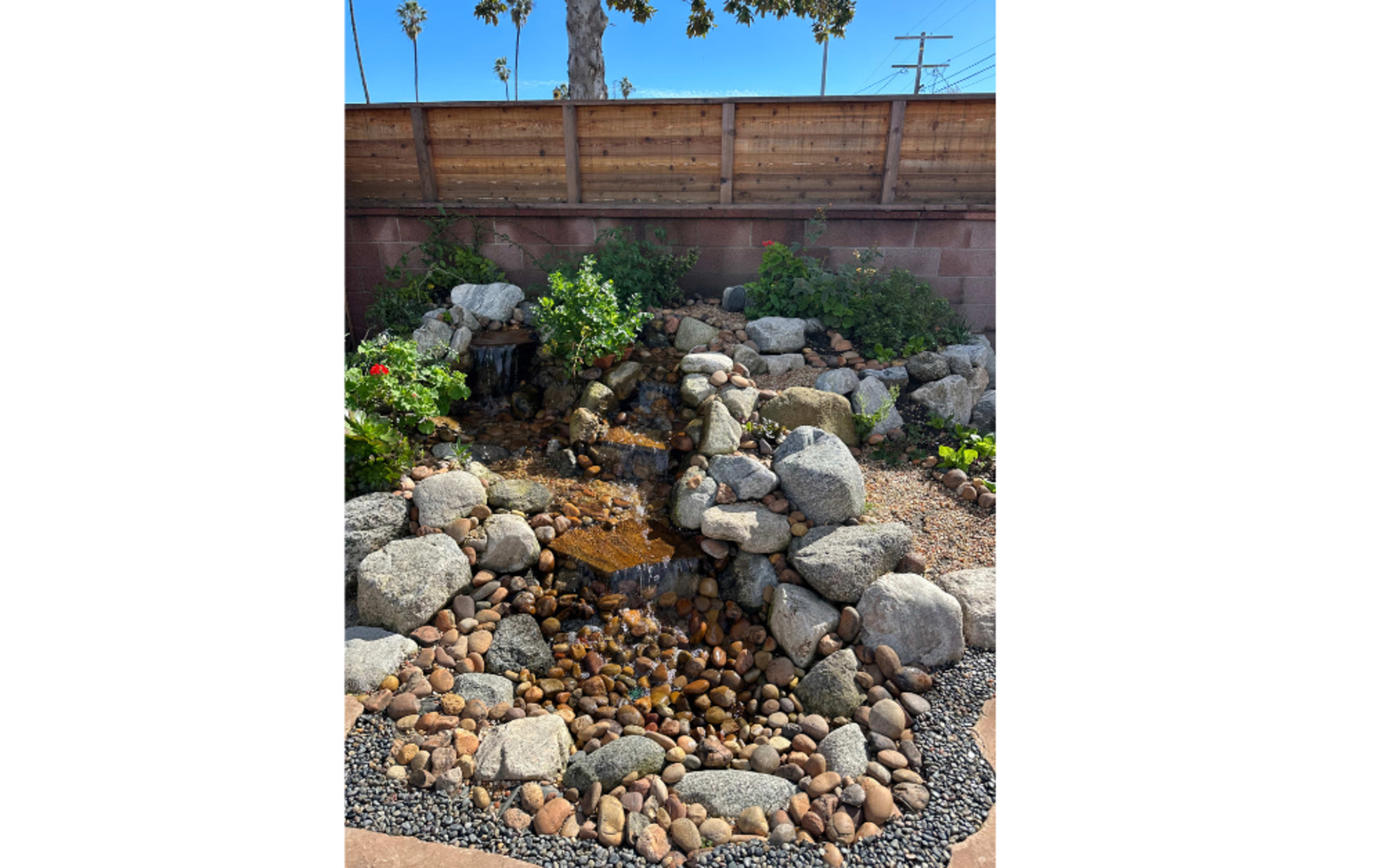 The image shows a small rock waterfall surrounded by various plants and stones in a landscaped area.