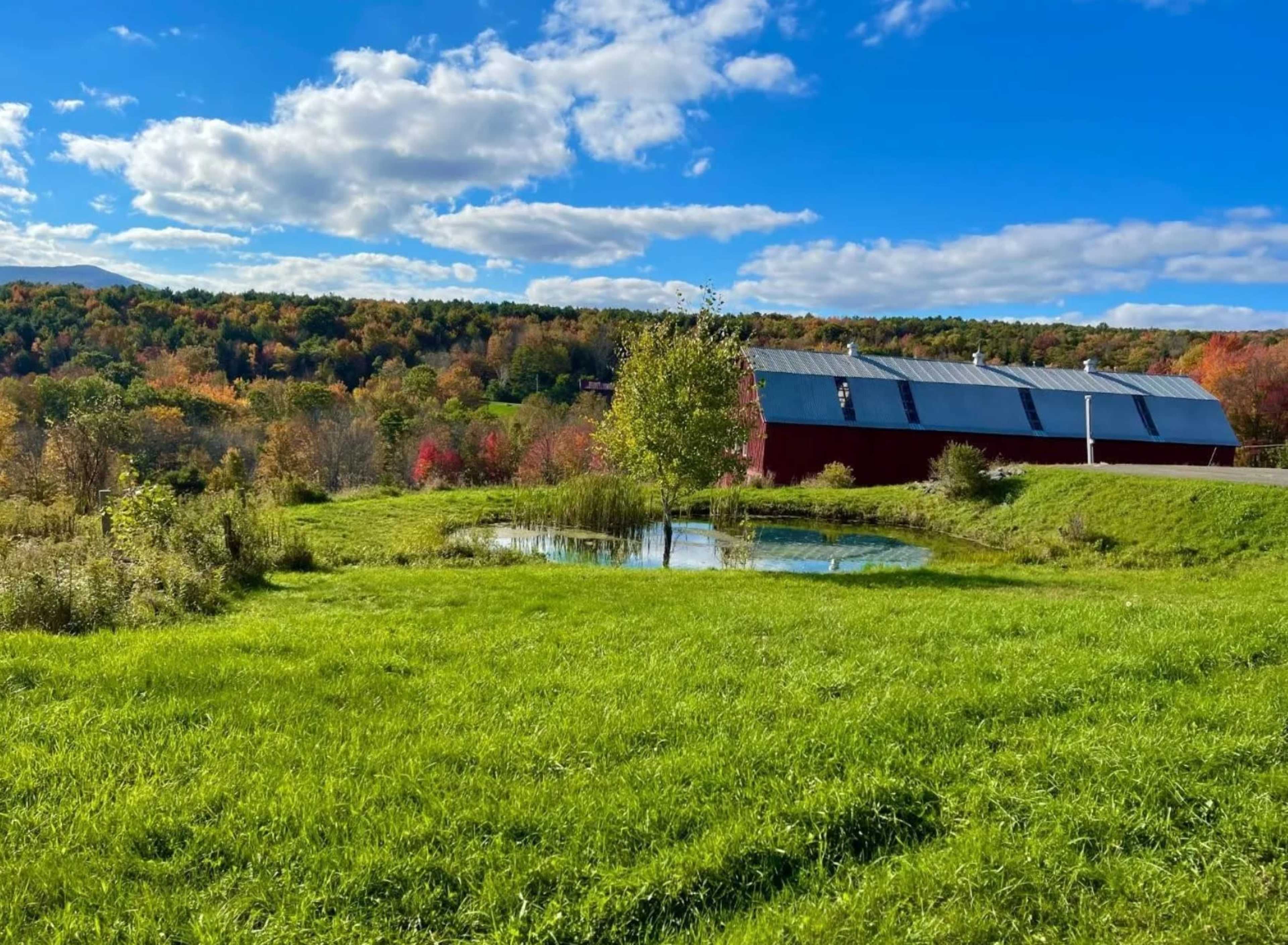 Your Own Barn and Mountain Range Image in Lexington, Lexington, NY