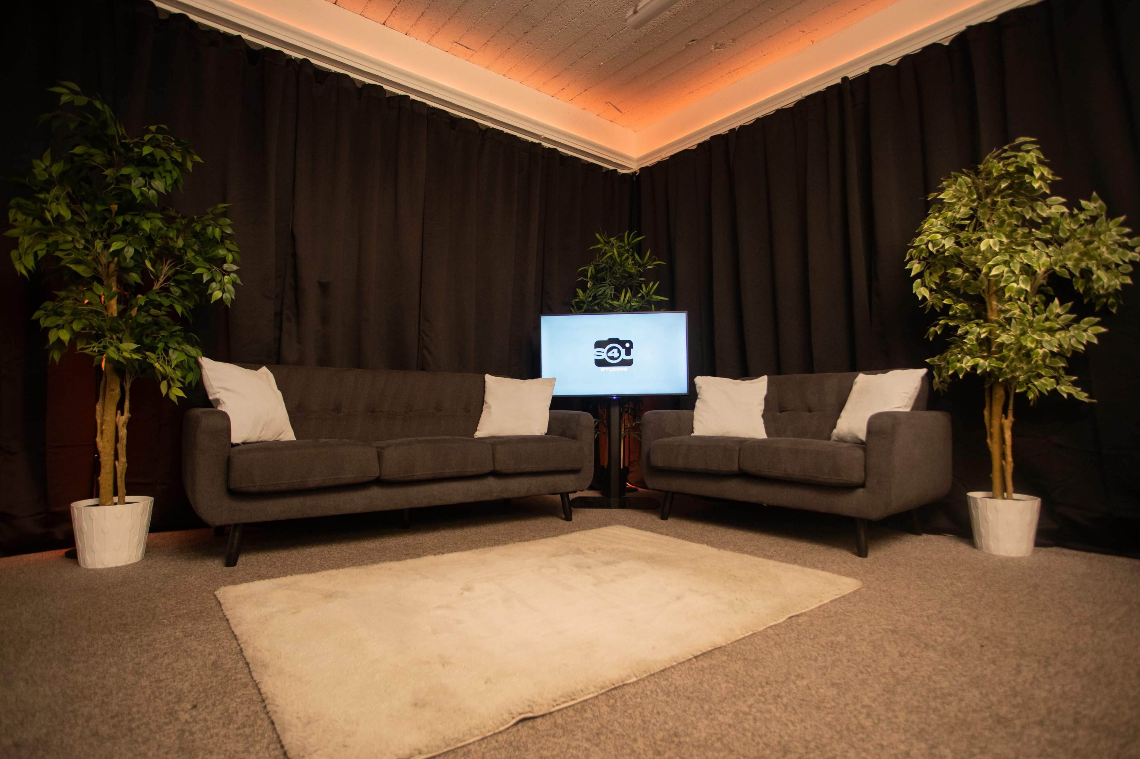 A modern sitting area features two gray sofas with white cushions, a television on a stand, and potted plants against a black curtain backdrop.
