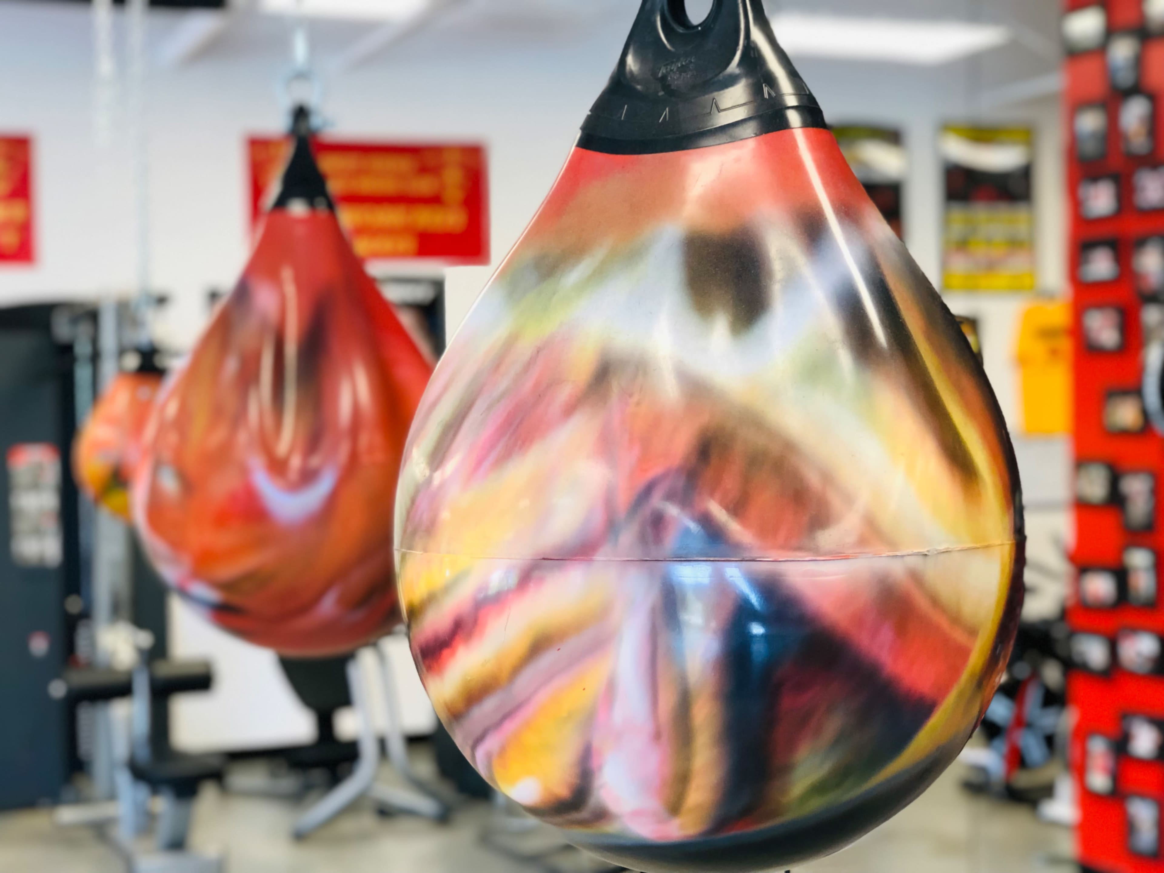 The image shows two colorful heavy bags hanging in a gym setting, with a blurred background of gym equipment and posters.