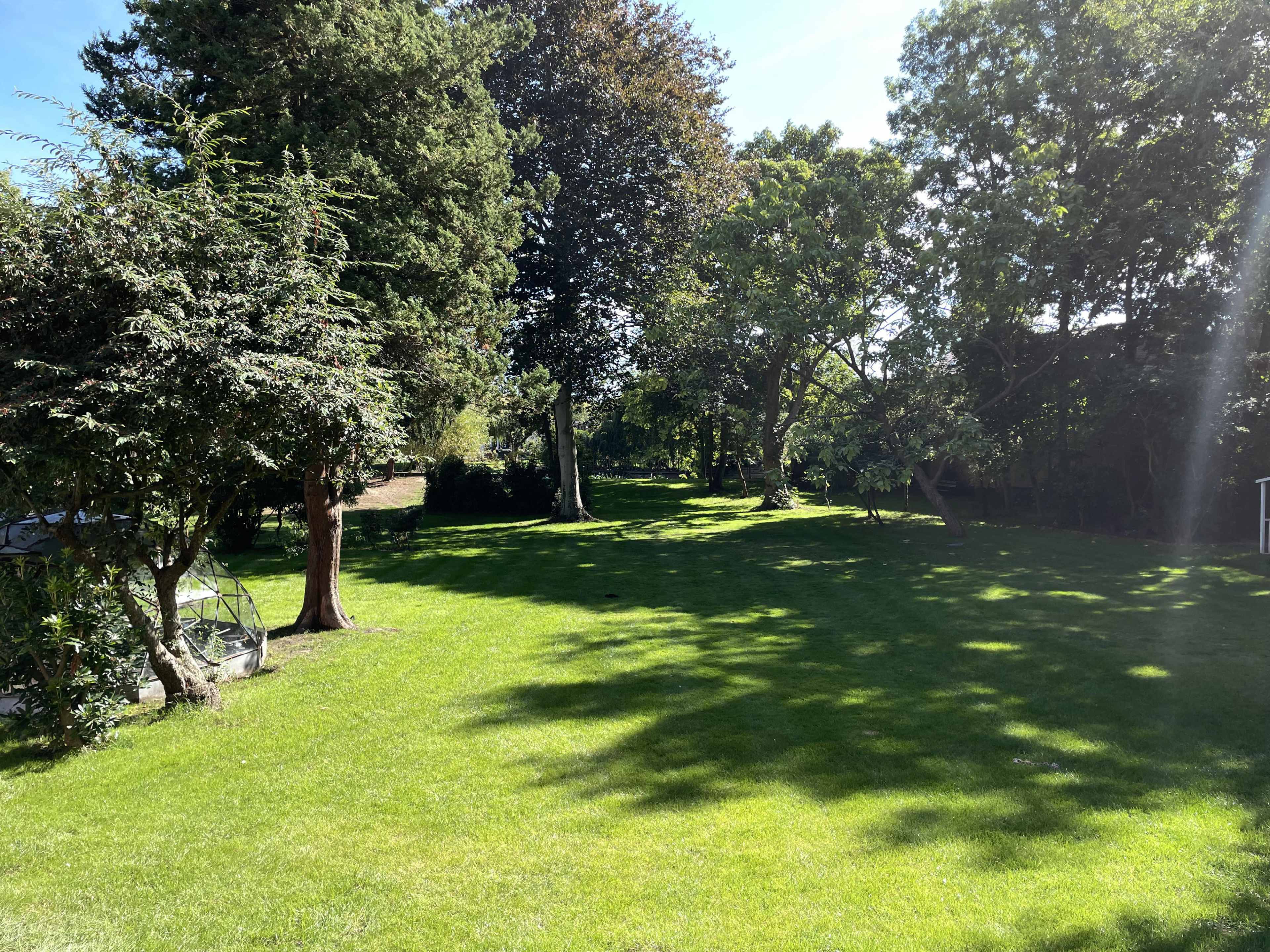 Riverside Retreat Private Garden Image in Molesey, East Molesey, 