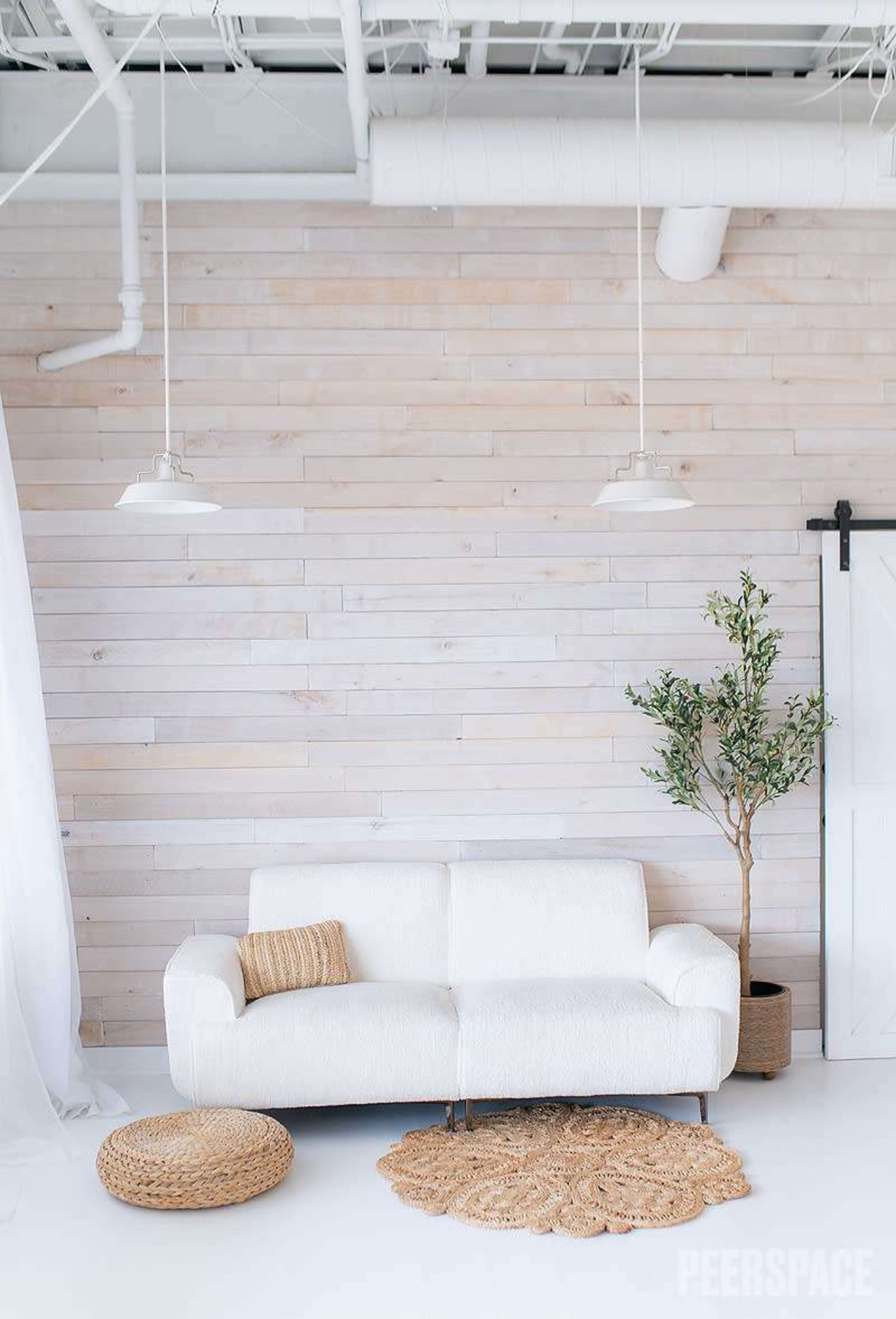 The image depicts a minimalist living space featuring a white couch, a large area rug, a small potted tree, and a wooden wall.