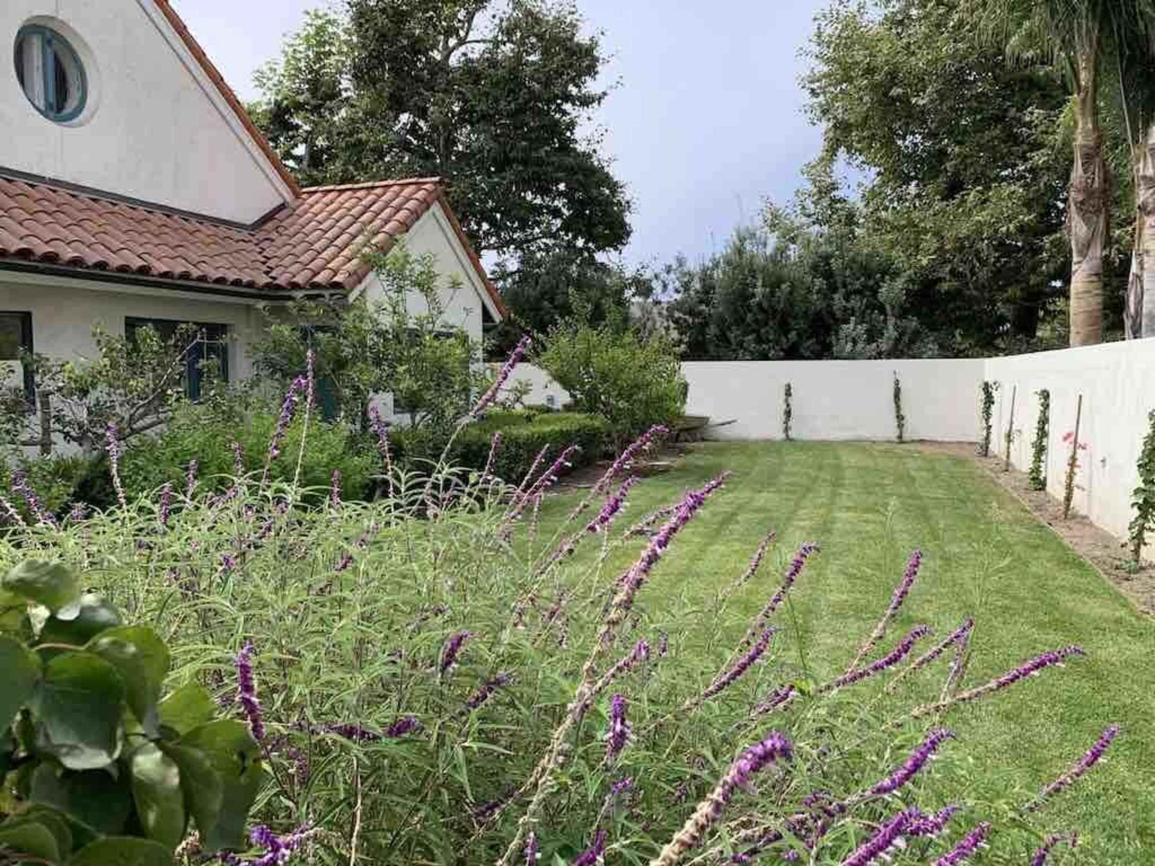 A neatly maintained garden with green grass and blooming purple flowers is set against the backdrop of a white house with a tiled roof.