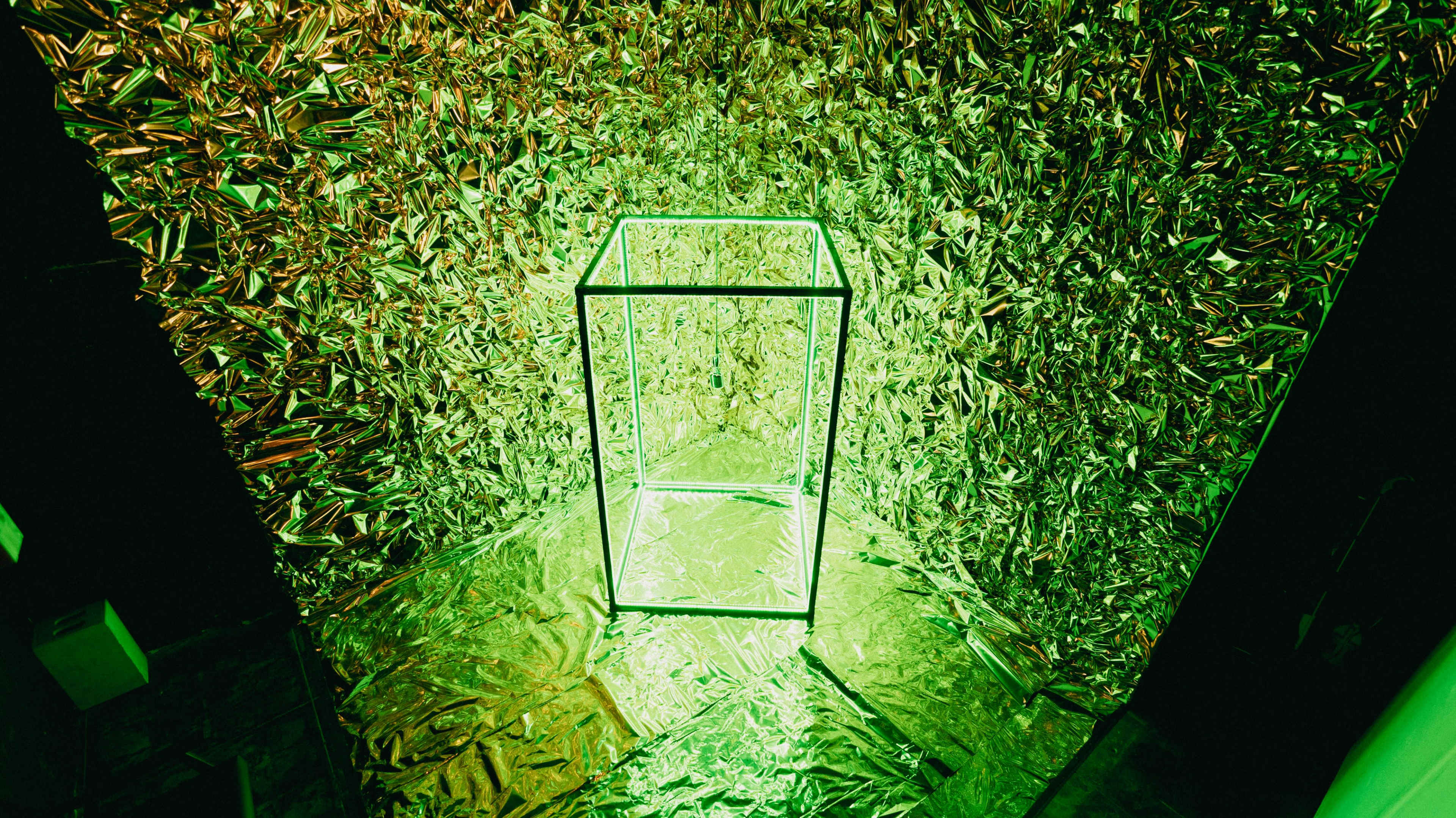 An empty glass display case surrounded by a glossy green and gold foil backdrop.