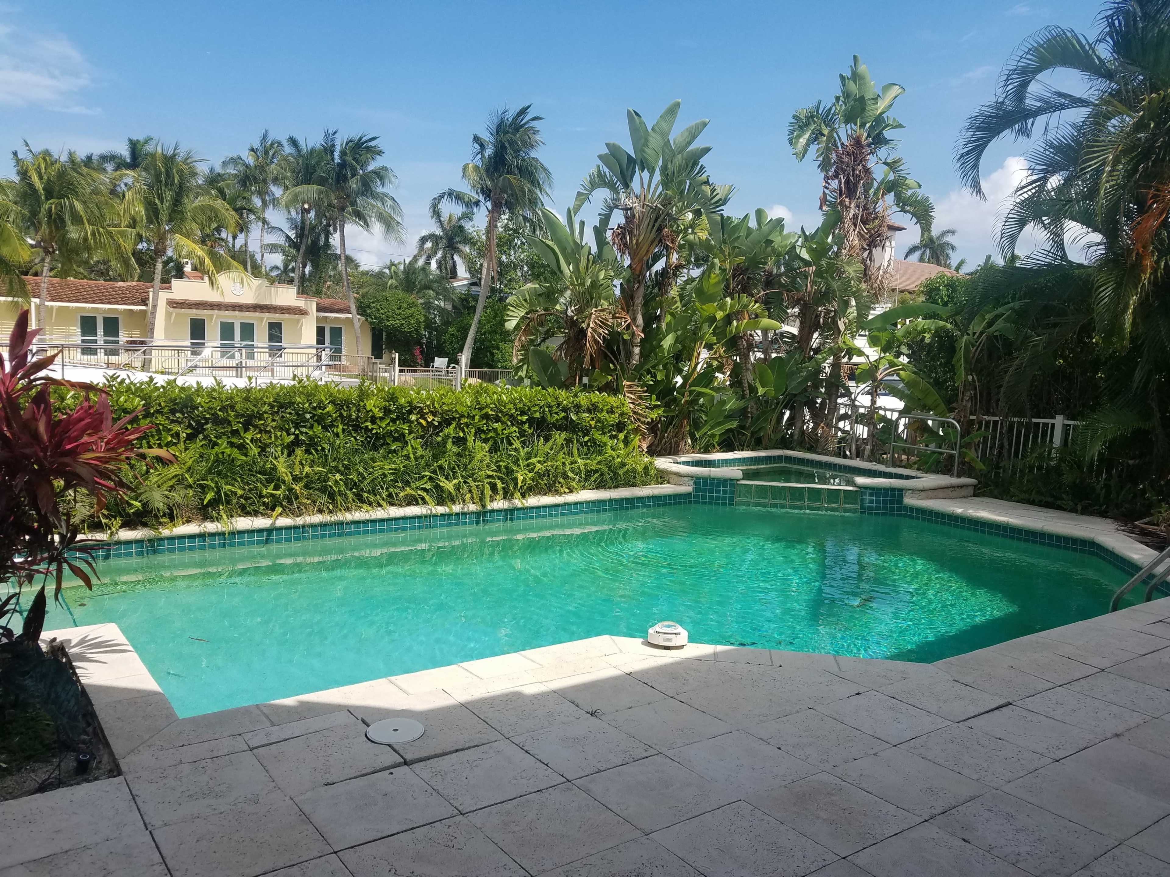 A rectangular swimming pool surrounded by tropical plants and palm trees in a residential area.