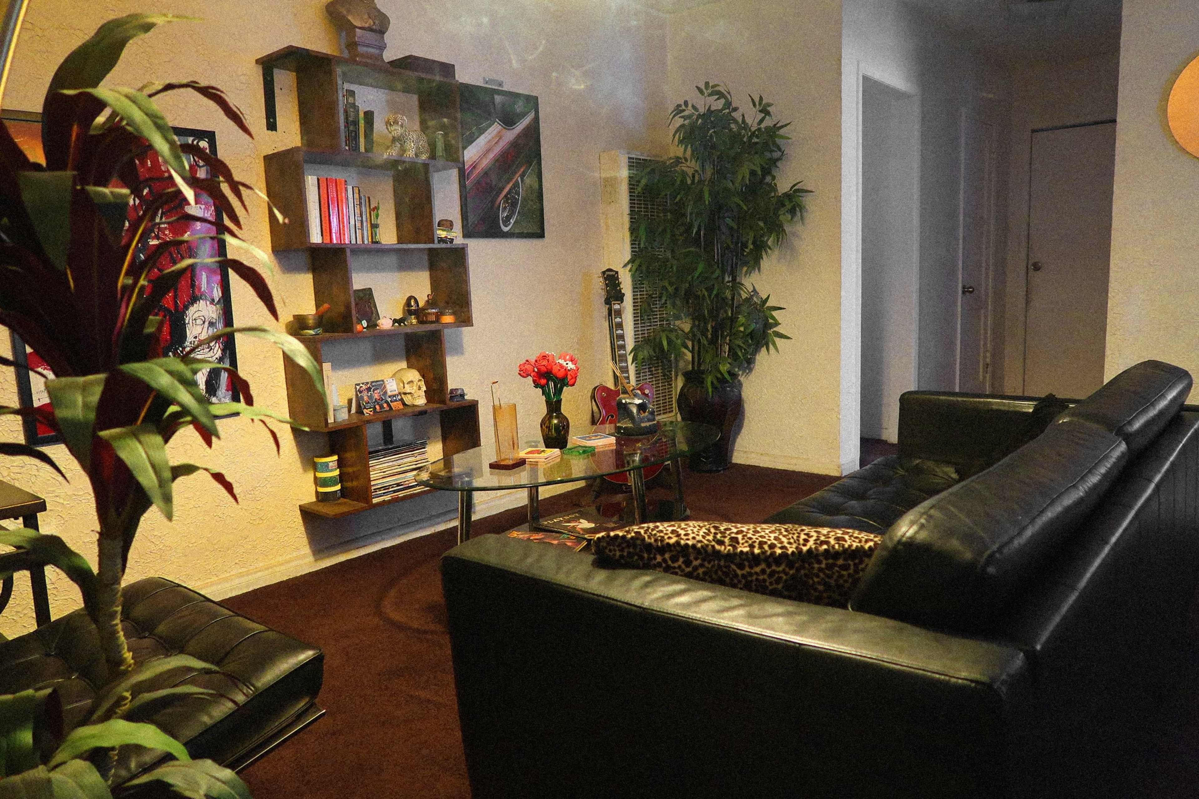 The image shows a cozy living room with a black leather sofa, a wooden shelf displaying books and decorative items, and a small table with flowers.