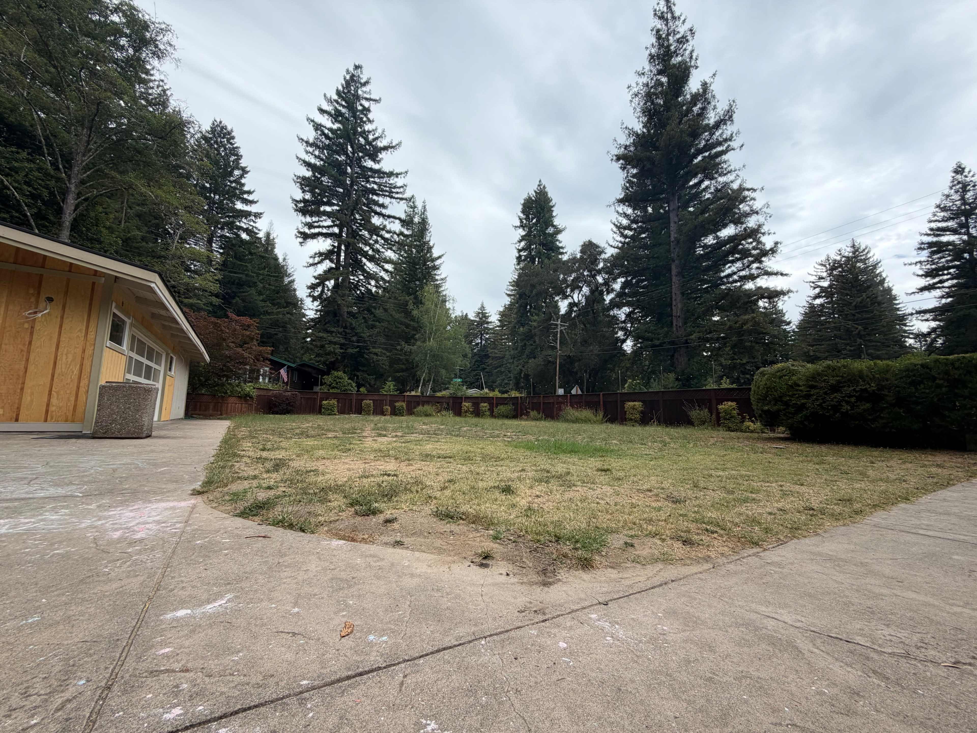 The image shows a grassy area surrounded by trees, with a concrete surface and a wooden railing in the background.