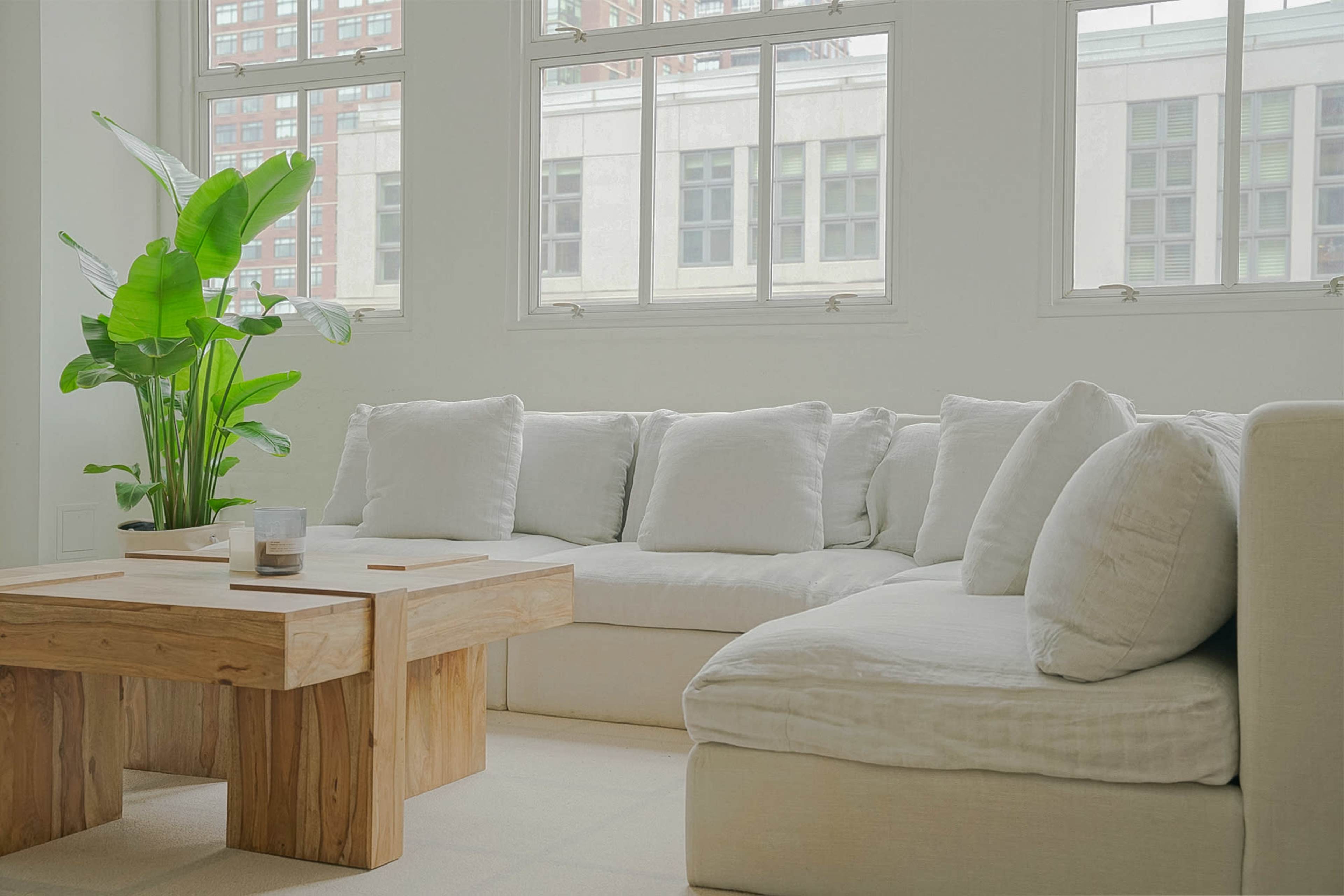 A light-colored, contemporary living room with a large sectional sofa and a wooden coffee table, accompanied by a potted plant near the window.