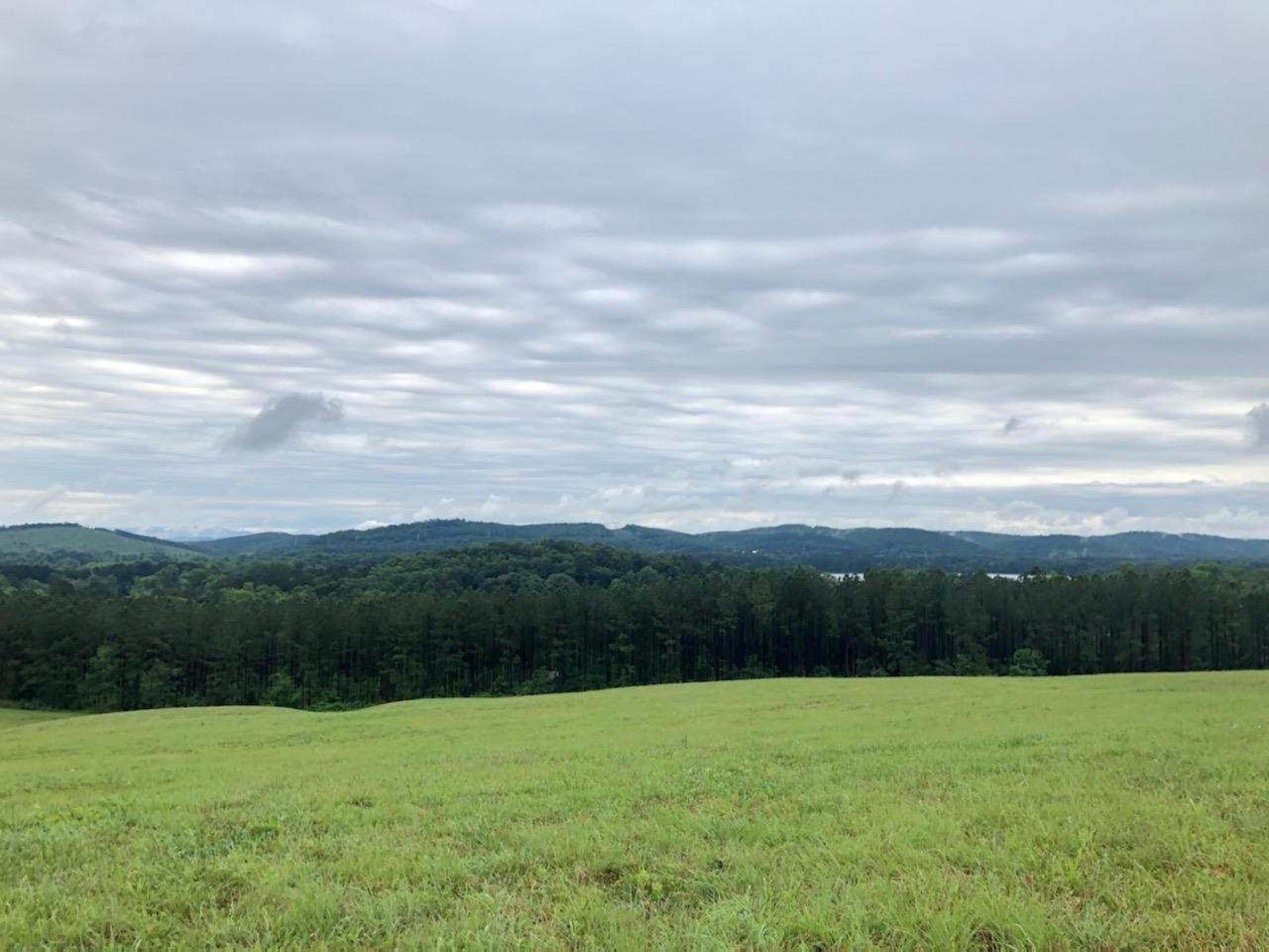 A green field stretches across the foreground under a cloudy sky, with rolling hills and dense forests in the background.