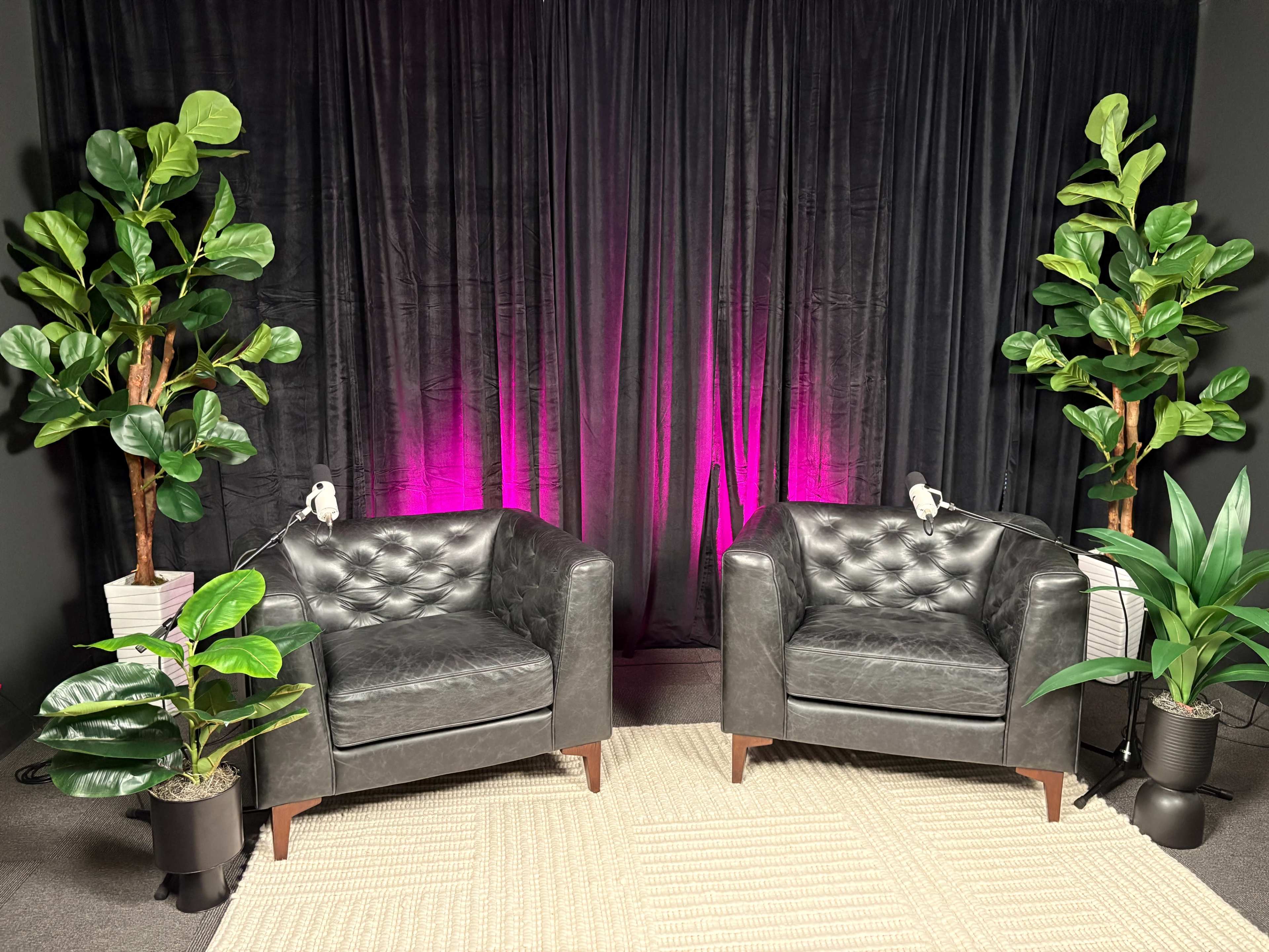 The image shows two black tufted armchairs positioned symmetrically in front of a black curtain with pink lighting, flanked by indoor plants in pots.