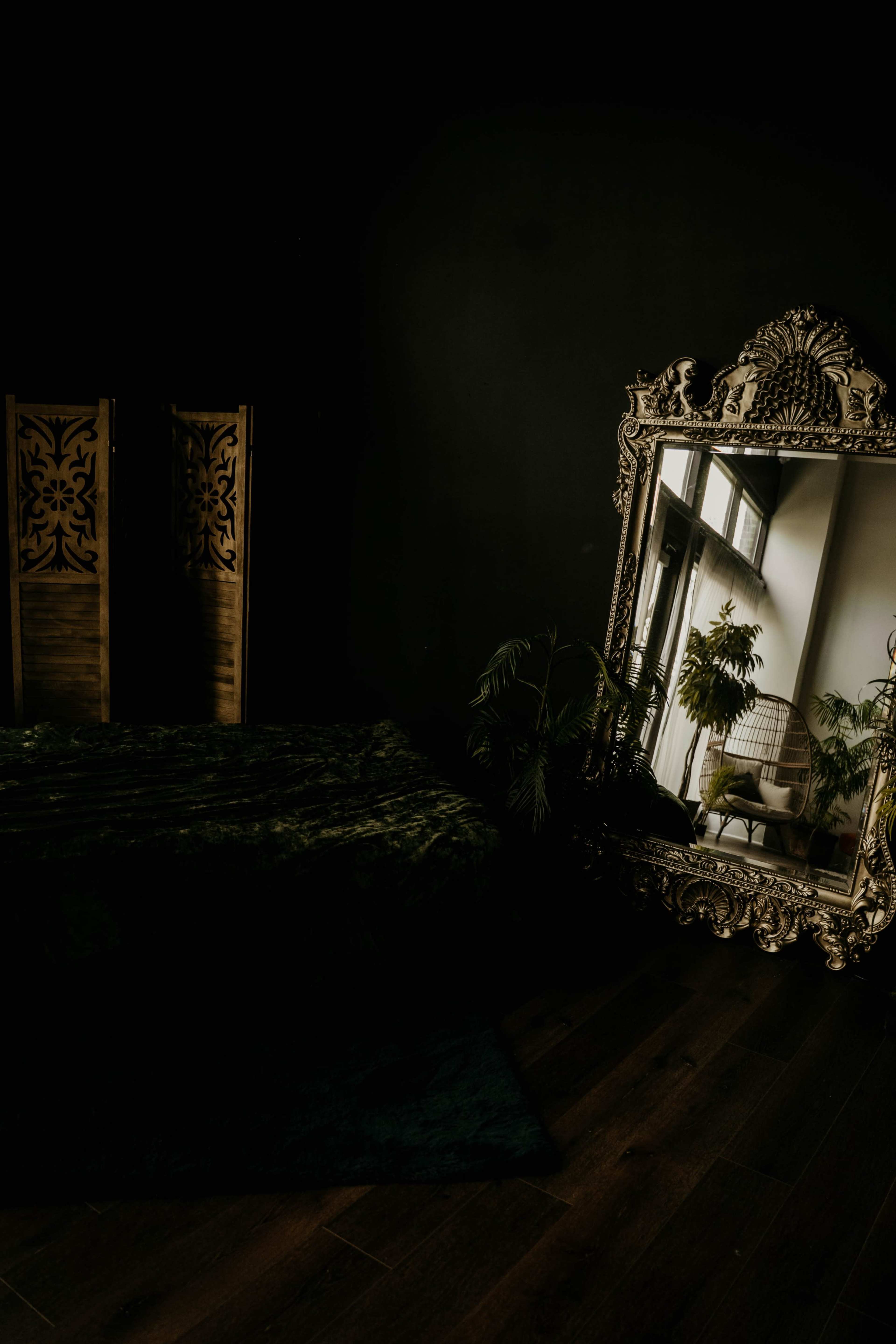 The image shows a dark room featuring a large ornate mirror reflecting a light-filled space with plants and a wicker chair.