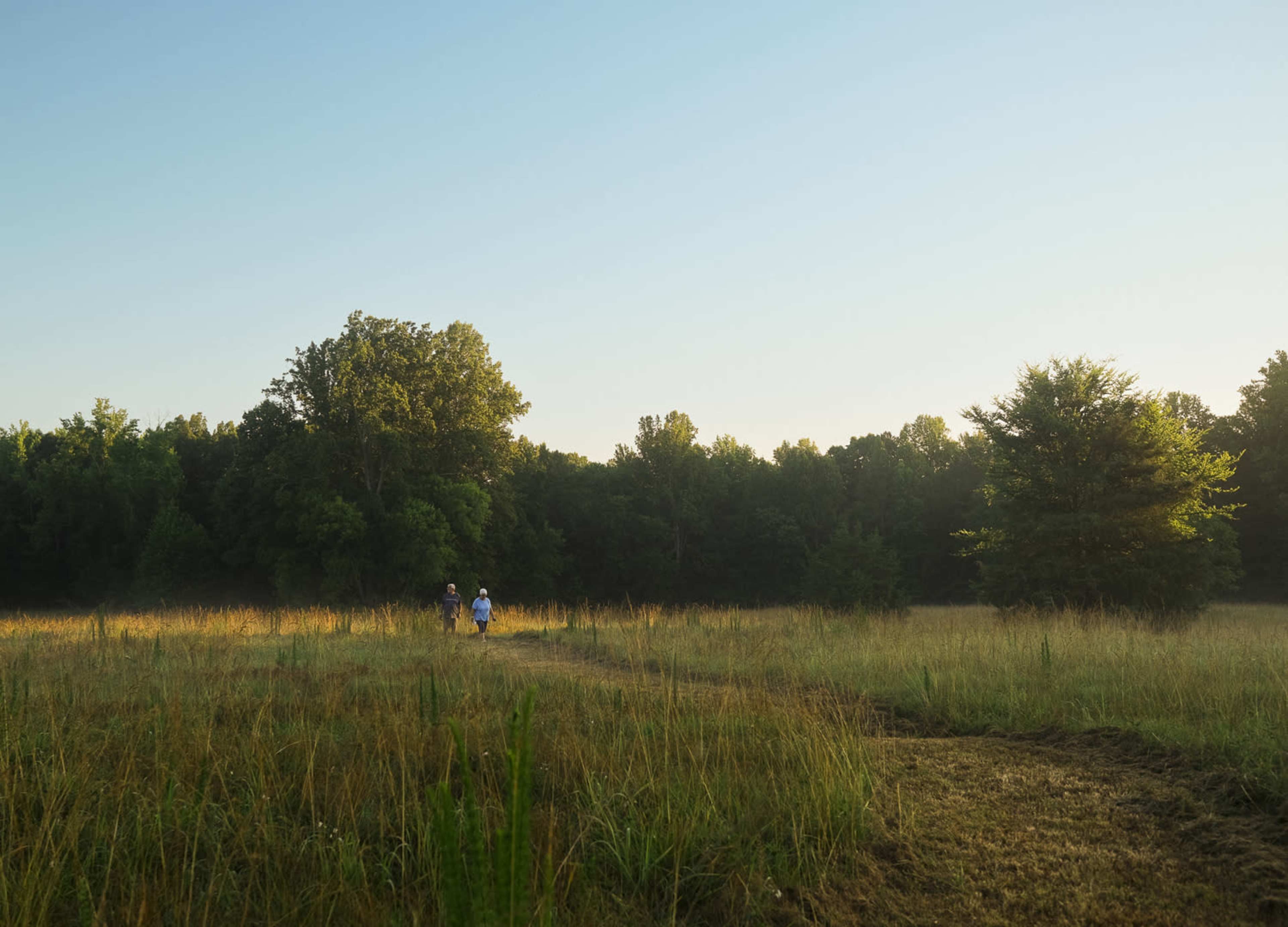 Two people walk along a path through a grassy field surrounded by trees in the early morning light.