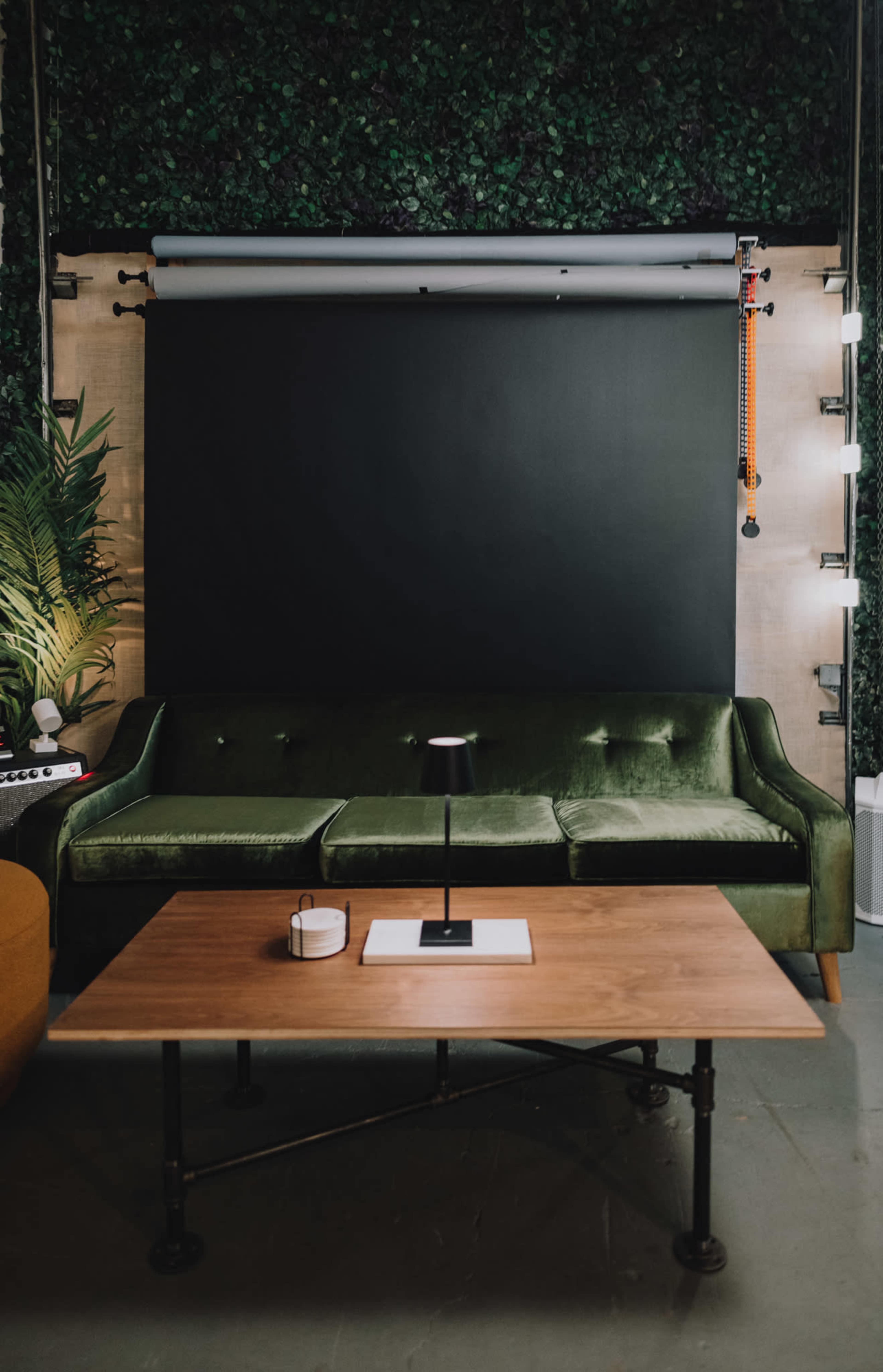 The image shows a green velvet sofa facing a wooden table in a room with a black backdrop and plant decor.