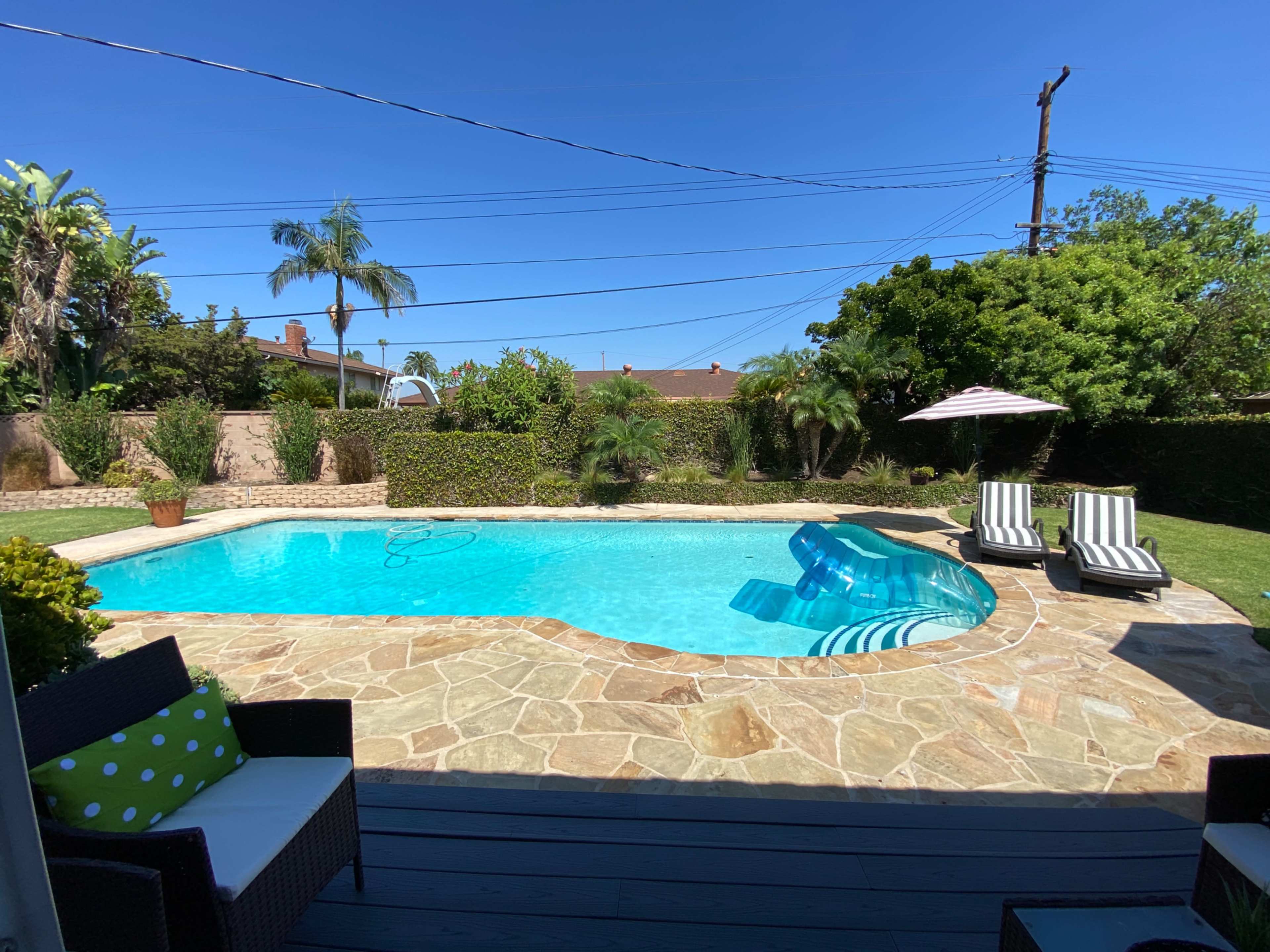 A swimming pool surrounded by stone flooring and lounge chairs is set in a backyard with palm trees and a hedge.