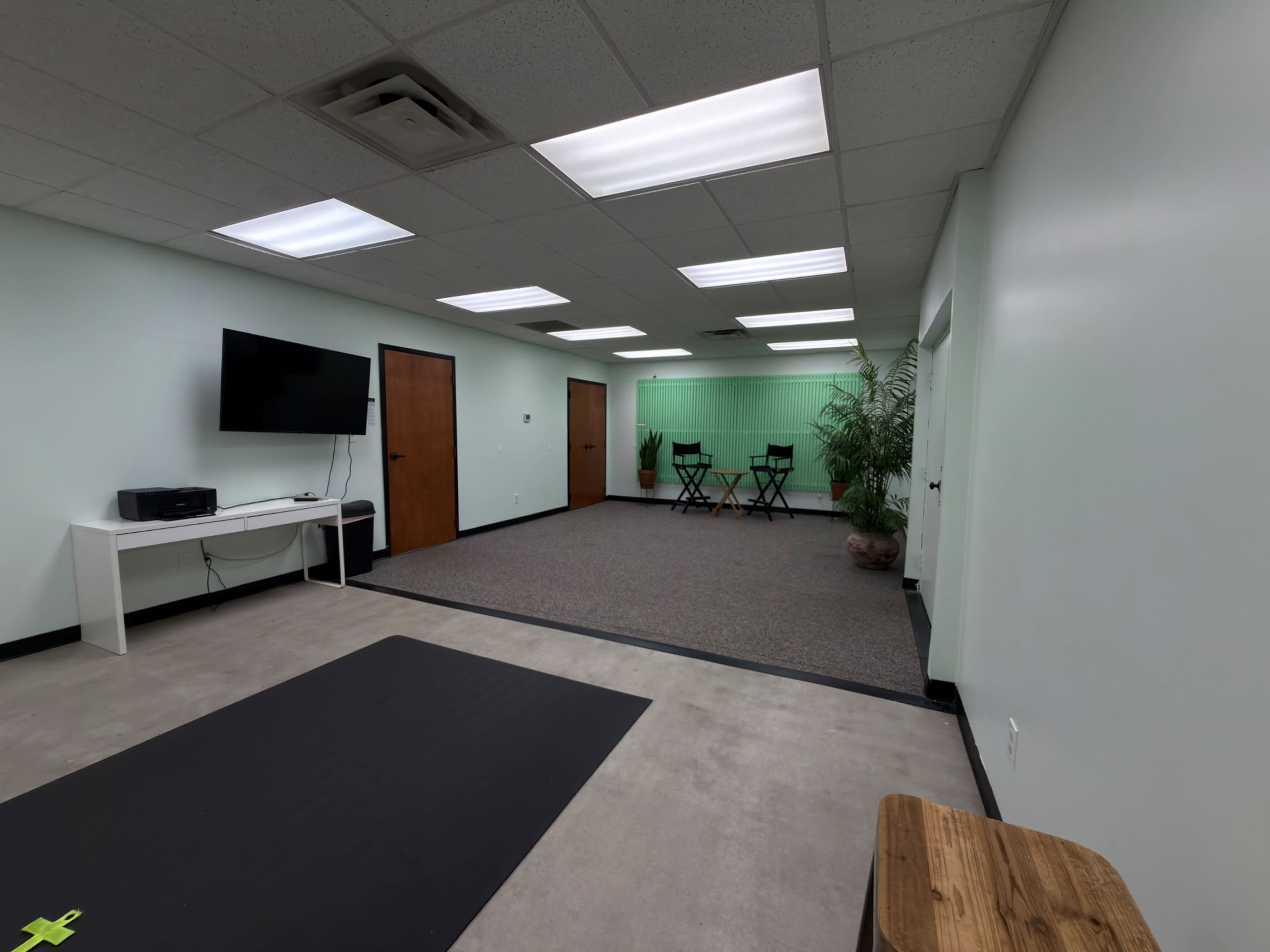 The image shows a spacious room with light green walls, a television mounted on one wall, and two black chairs positioned against a backdrop of greenery.