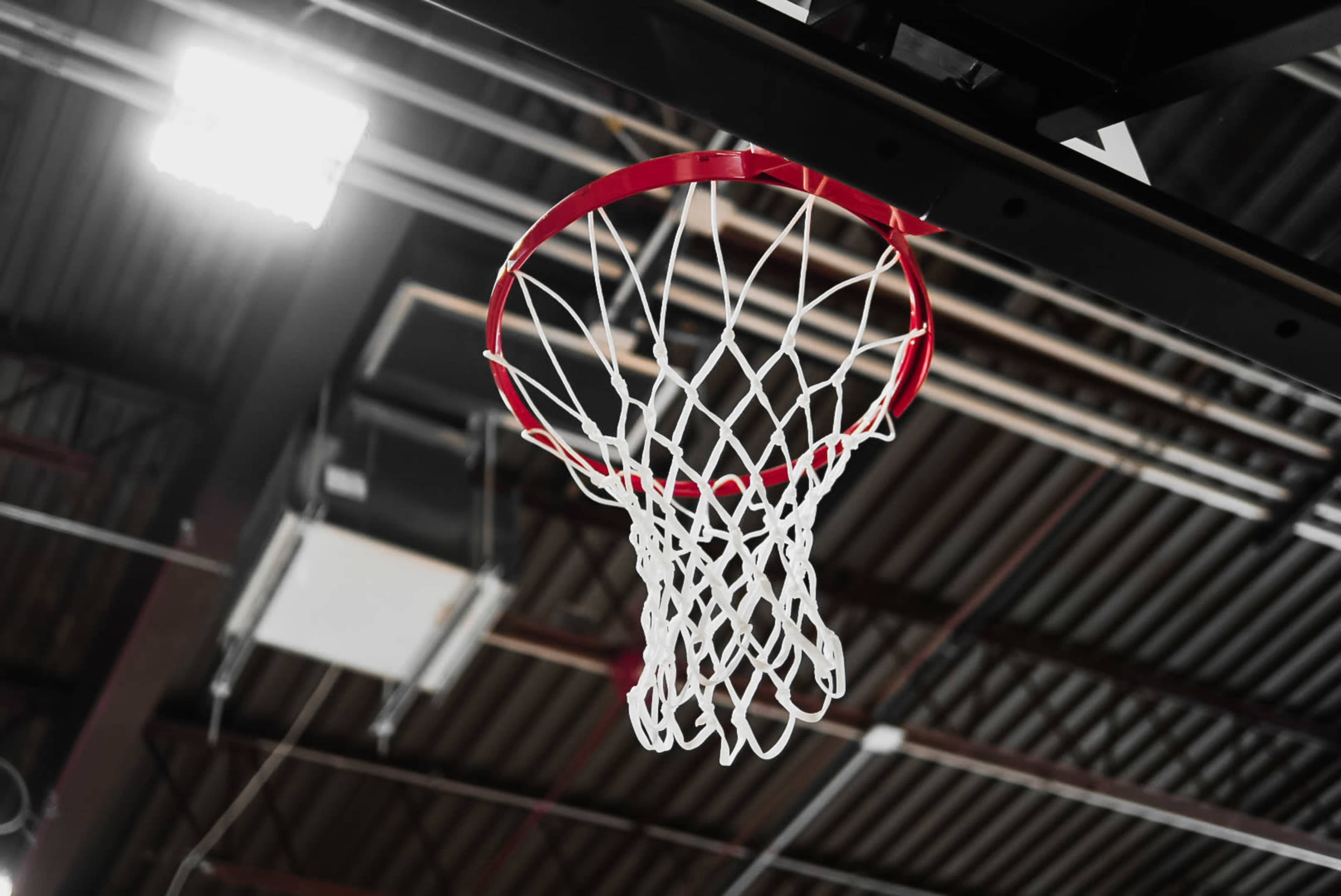 Suburban Athletic Training Facilty Image in Addison Township, Addison, IL