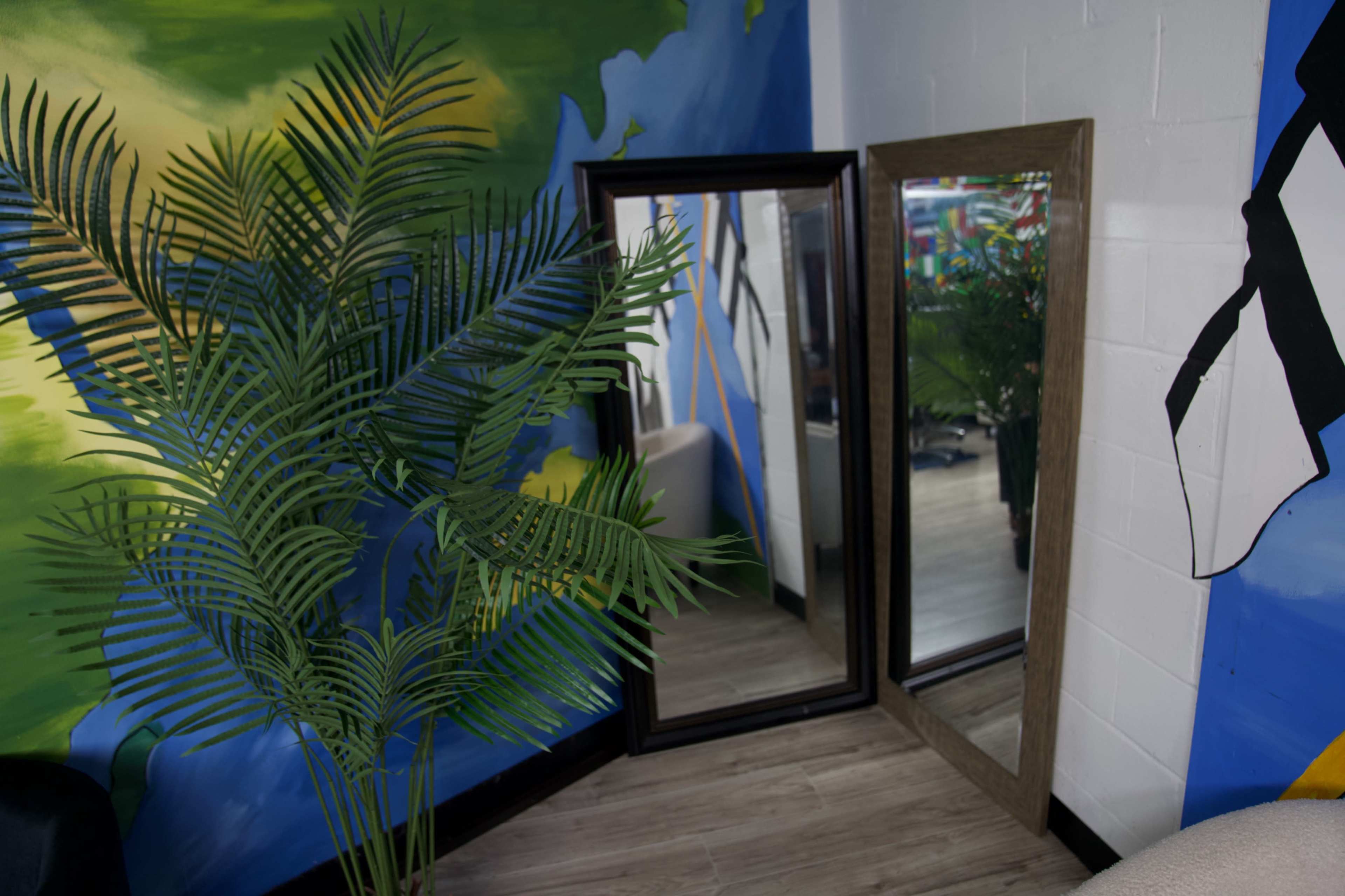 The image shows two mirrors leaning against a wall, beside a large leafy plant, with a colorful mural in the background.