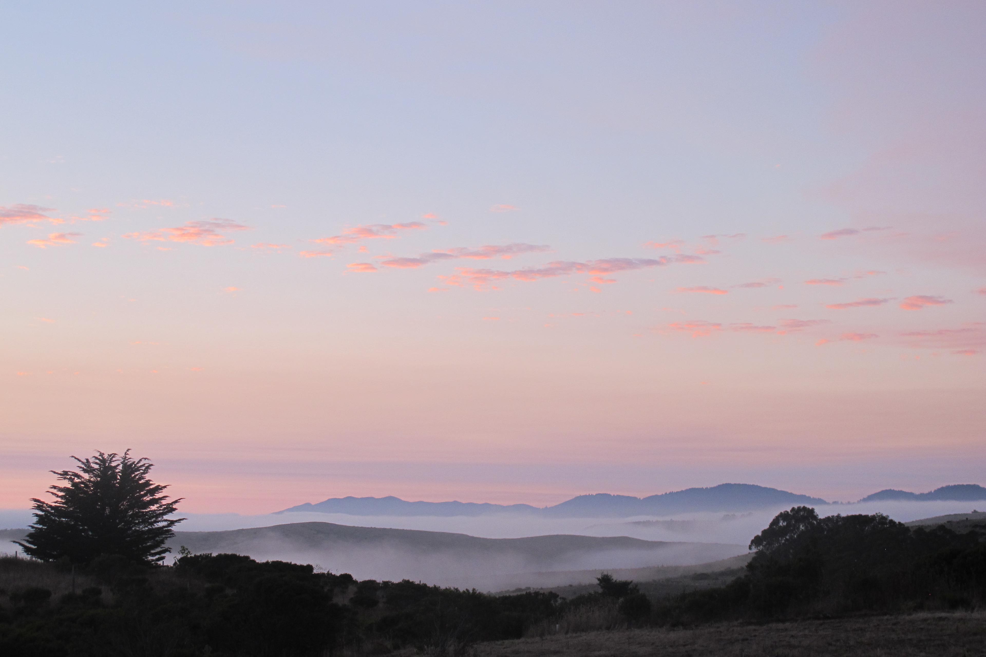 A gradient sky transitions from soft pink to pale blue over mist-covered hills and silhouetted trees.
