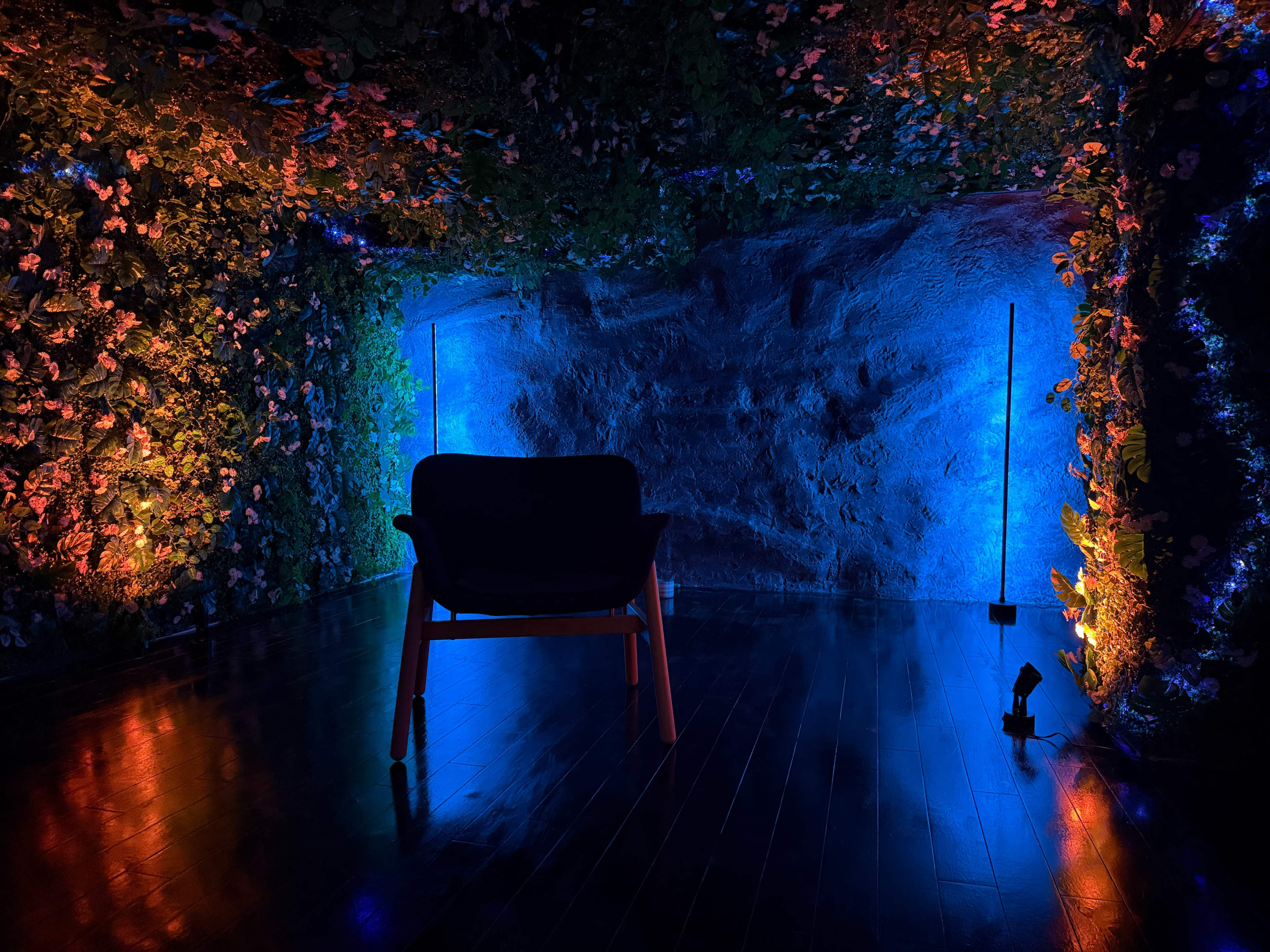 Jungle Studio Room – Photo/Video Shoots Image in Central City, Kelowna, BC