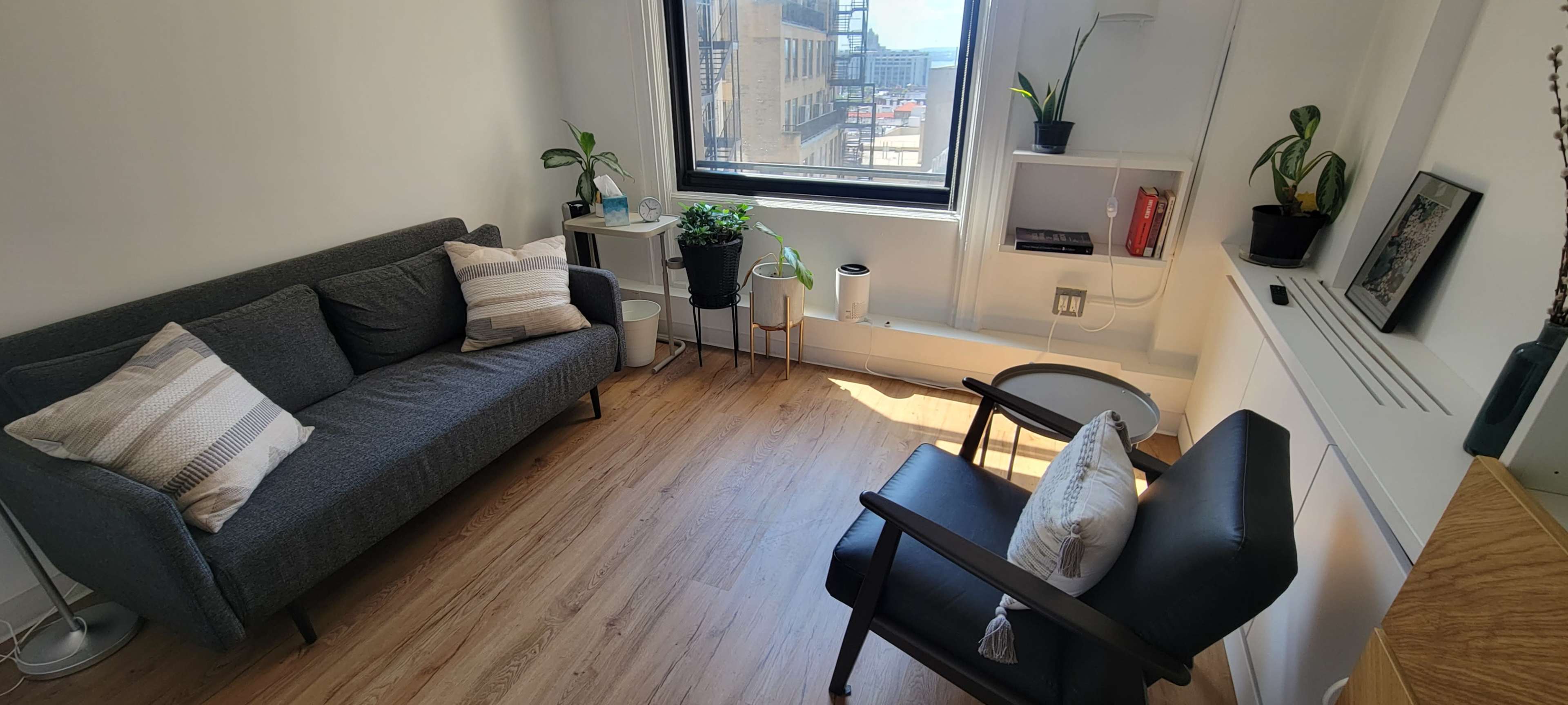 A small living room with a gray sofa, a black chair, potted plants, and a window providing natural light.