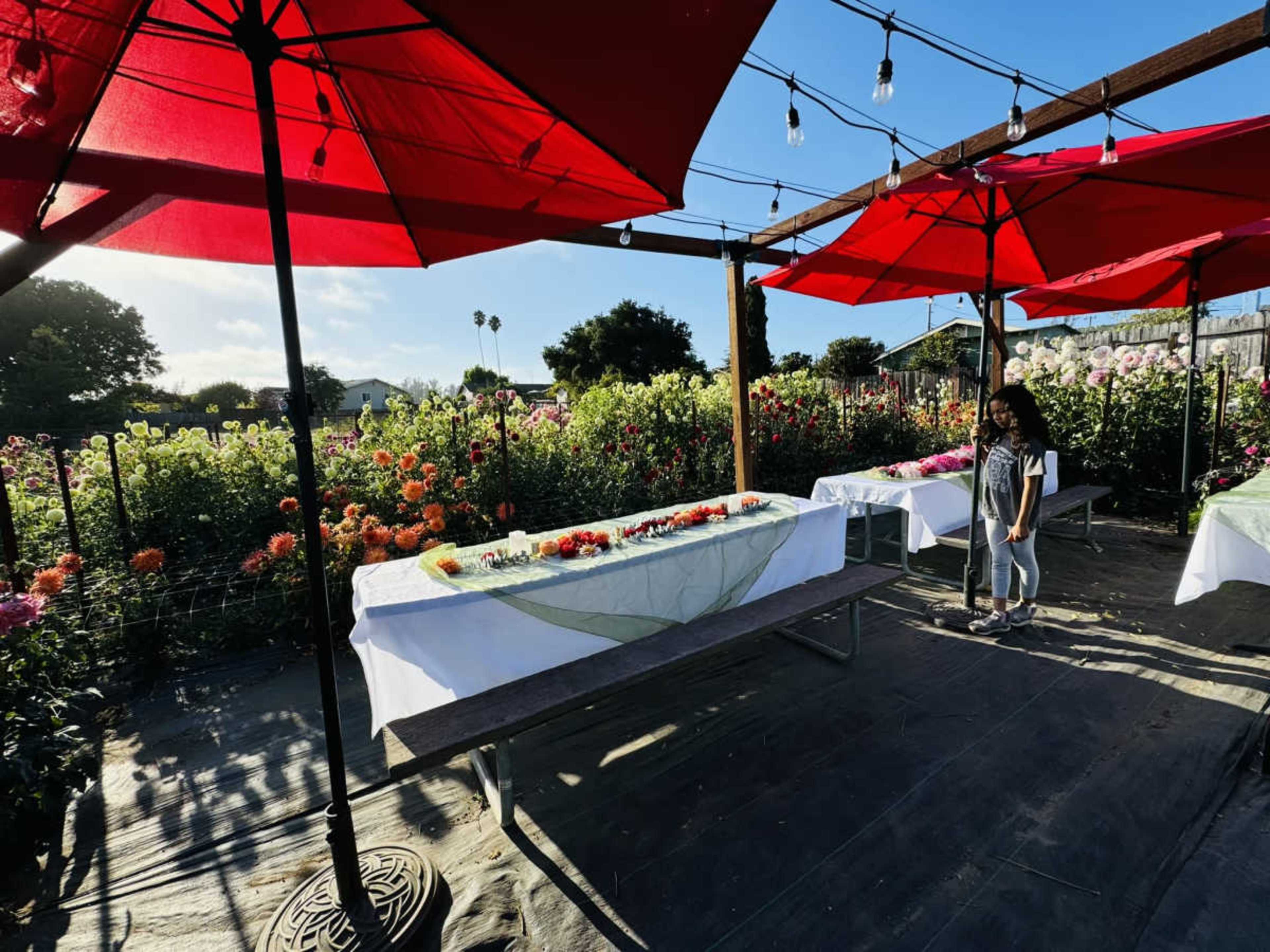 The scene shows a flower garden with colorful blooms, featuring tables covered with white cloths and red umbrellas providing shade.