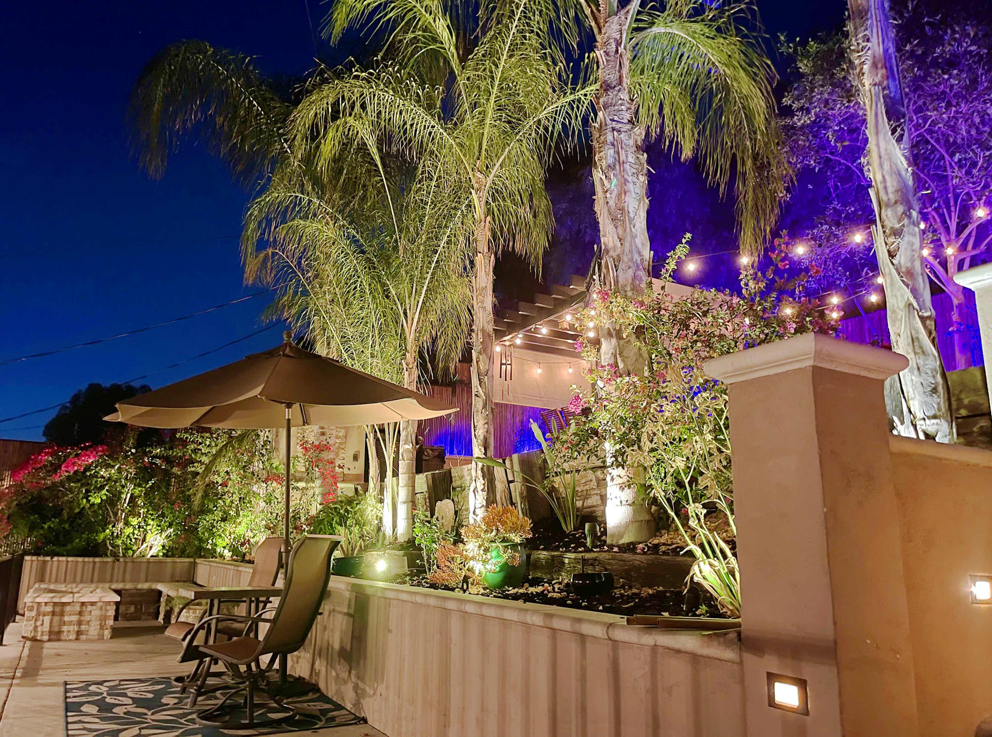 Tropical Palm Tree Zen Patio W/ Colored Lights in Quiet Residential Neighborhood Image in Woodland Hills, Woodland Hills, CA