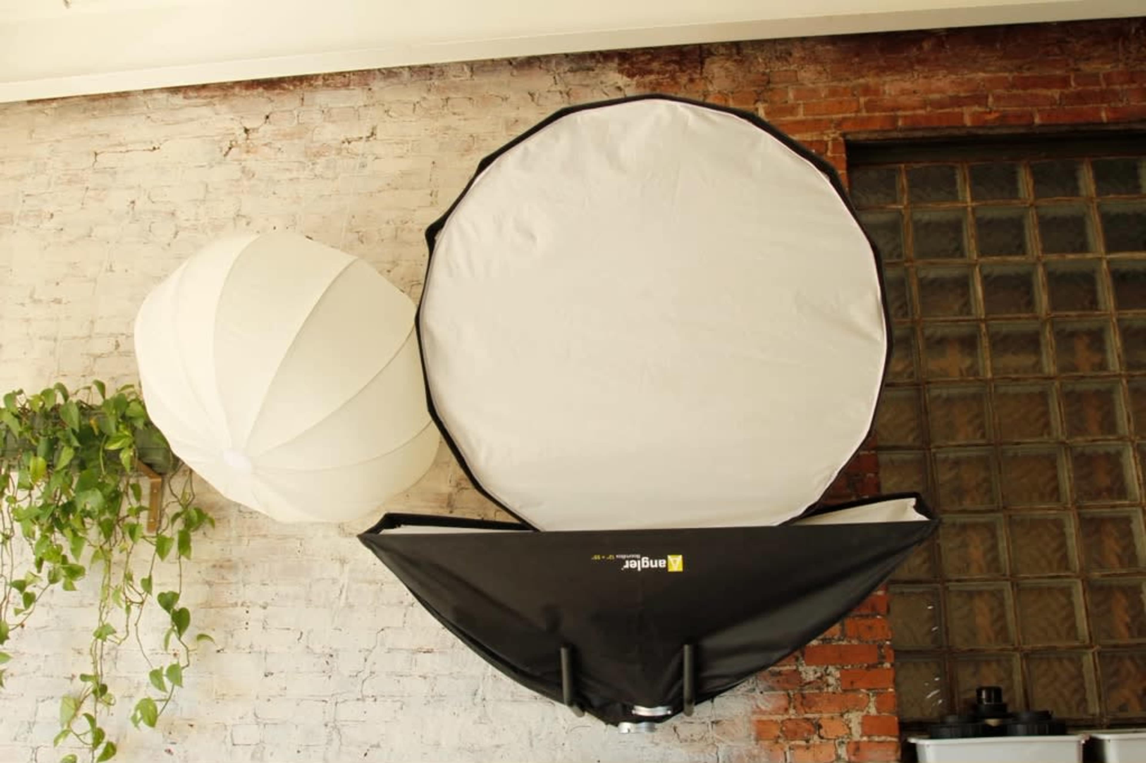 The image shows a white and a black lighting umbrella and a large round reflector mounted against a brick wall with a green plant nearby.