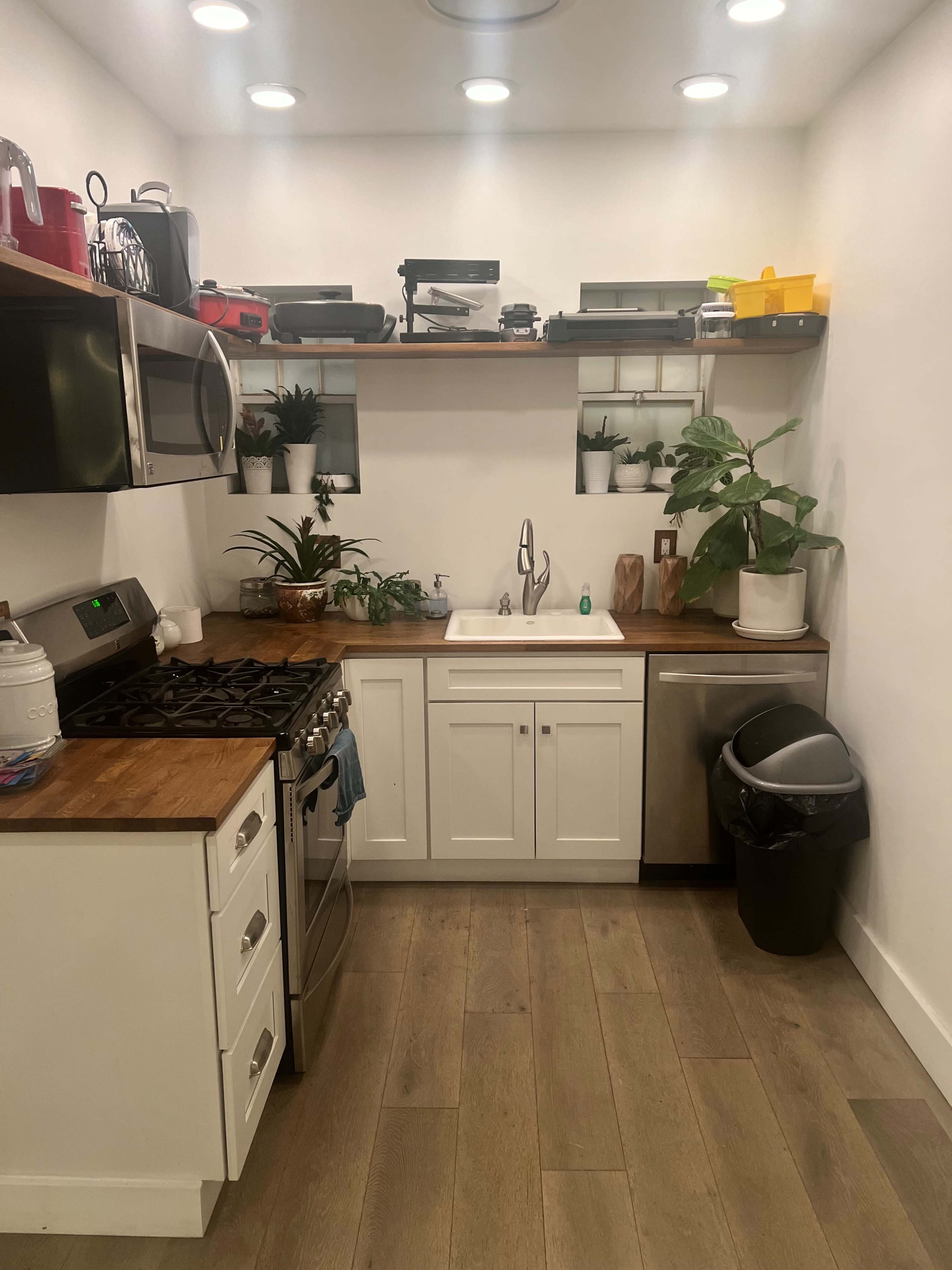 A small kitchen features modern appliances, wooden countertops, and shelves adorned with potted plants.