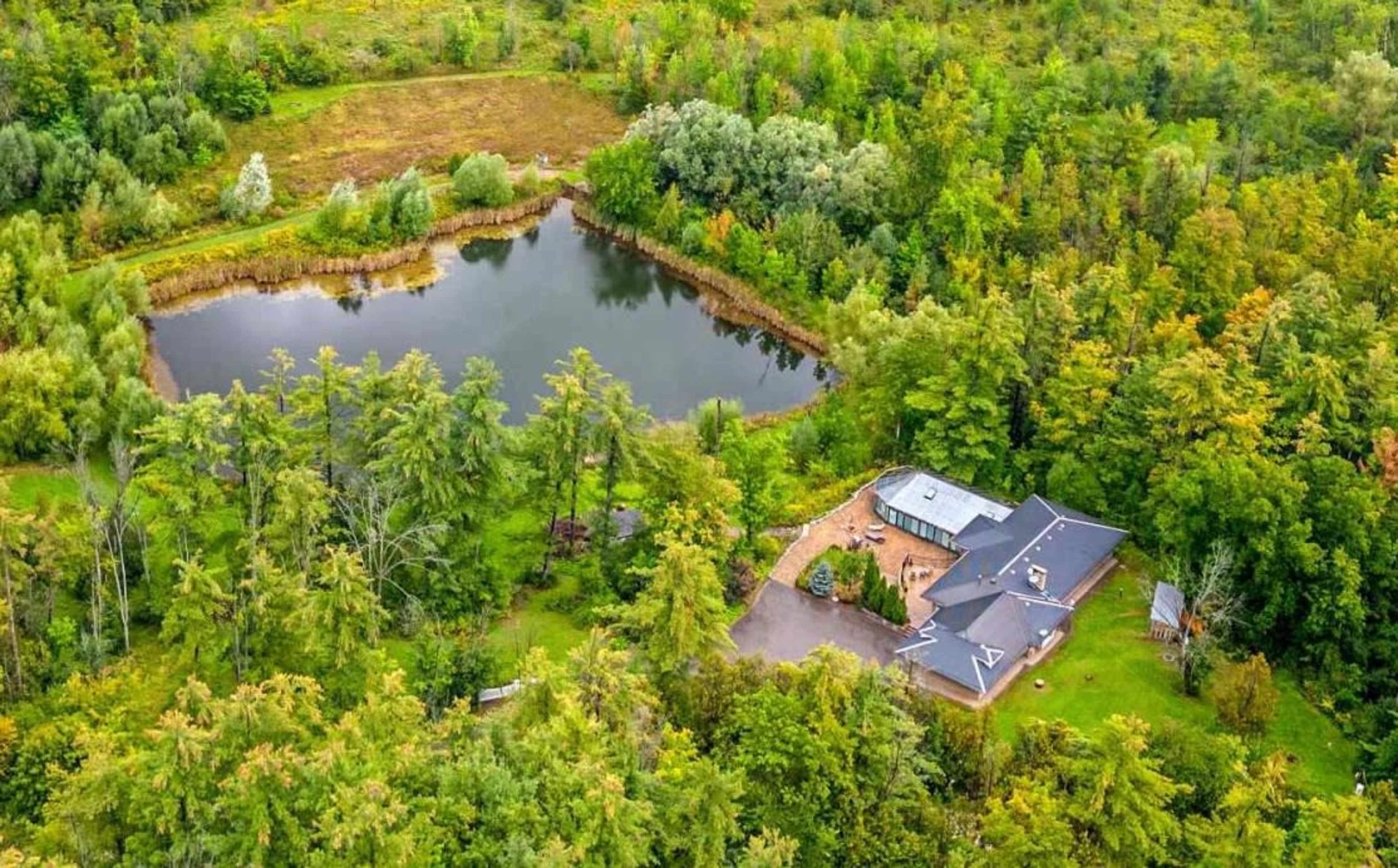 A modern house is situated near a tranquil pond and surrounded by dense greenery and trees.