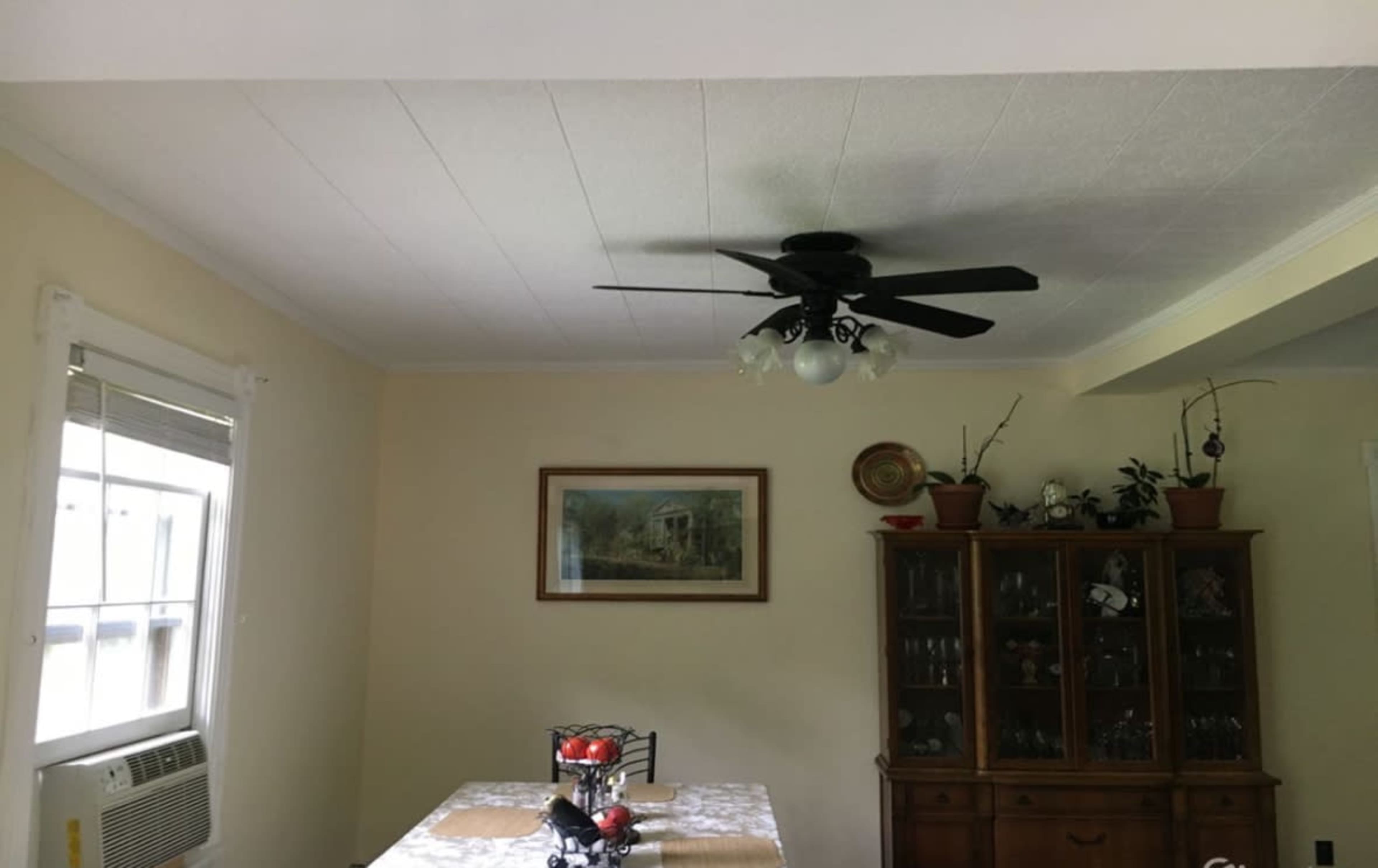 The White House in the Mountains. Image in Mamakating, Wurtsboro, NY