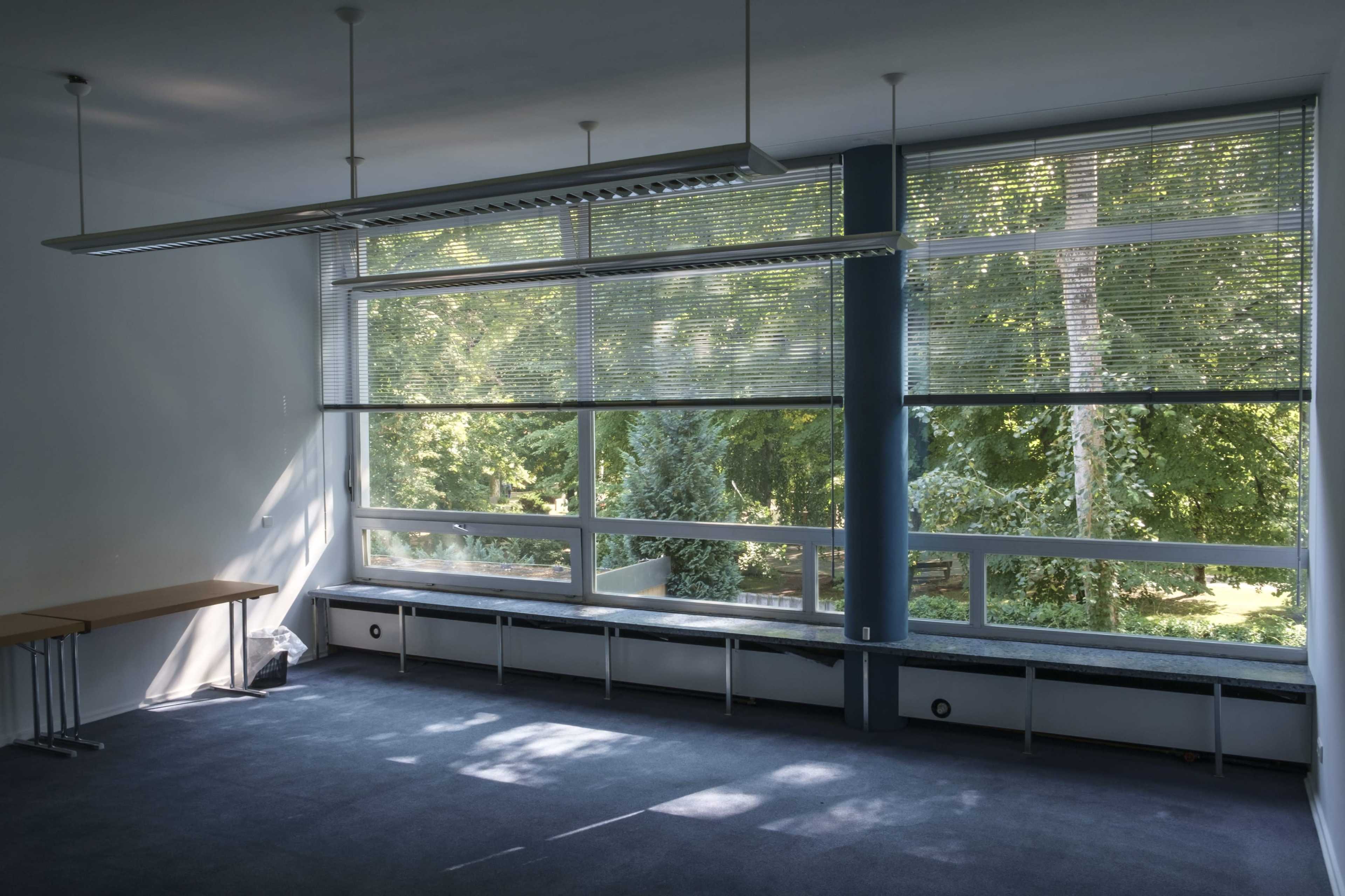 The image shows a vacant office space with large windows overlooking a green area, featuring blue walls and a dark carpeted floor.
