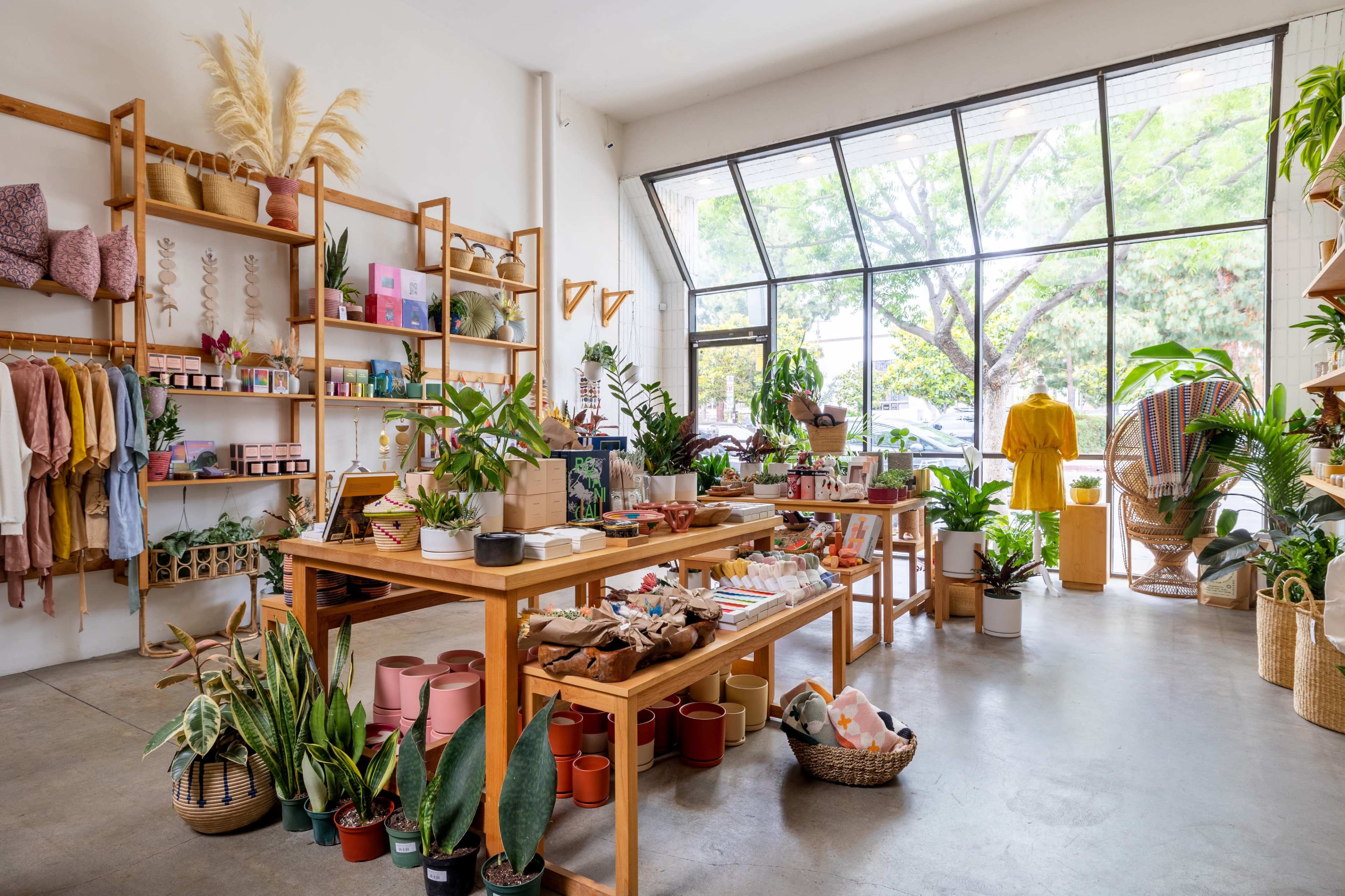 A well-organized storefront filled with various plants, natural decor items, and colorful products displayed on wooden tables and shelves.