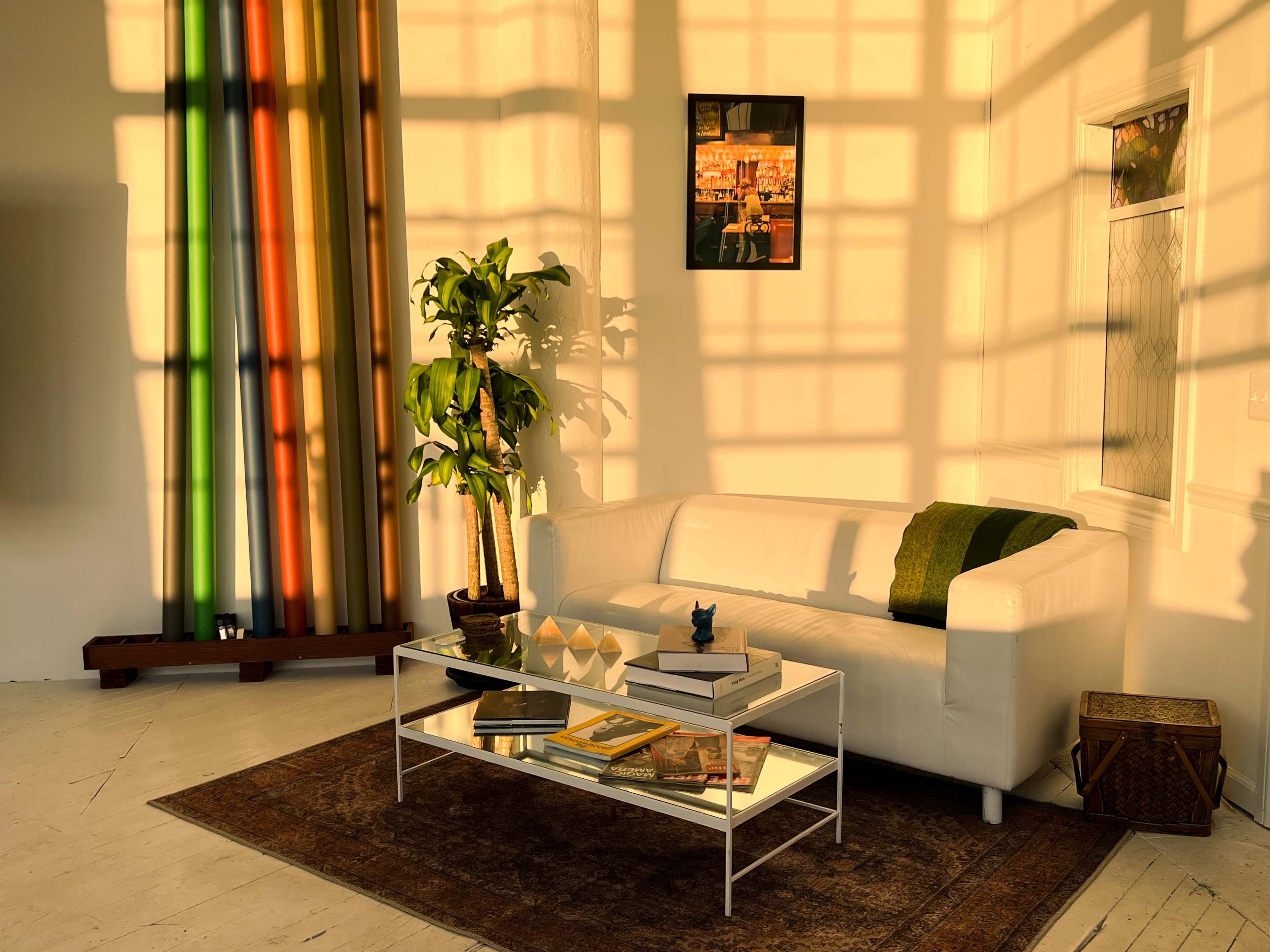 A bright room with a white sofa, a glass coffee table with books, a woven rug, and a potted plant, illuminated by shadow patterns from a window.