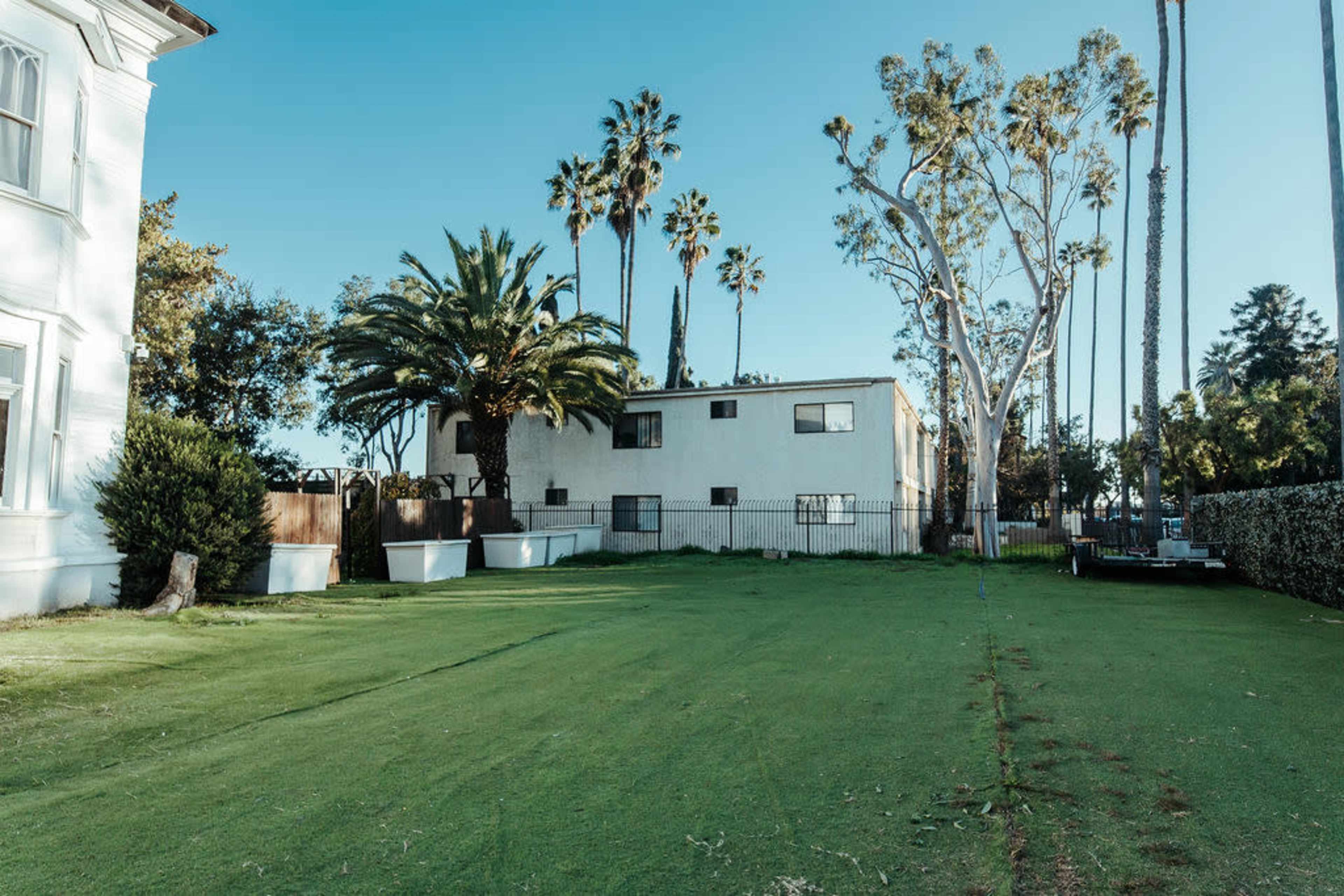 The image shows a grassy lawn bordered by palm trees and a white building in the background.