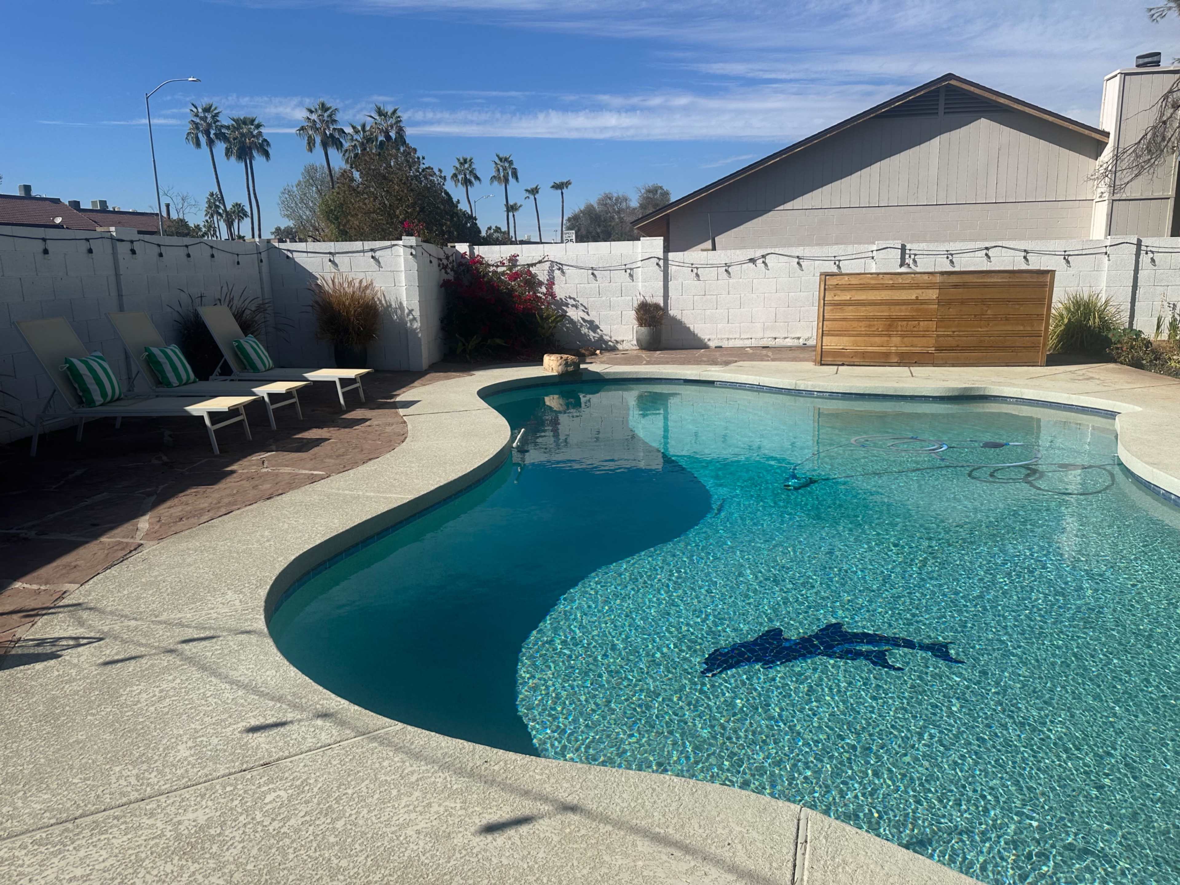 The image shows a curved swimming pool surrounded by lounge chairs and a wall adorned with greenery.