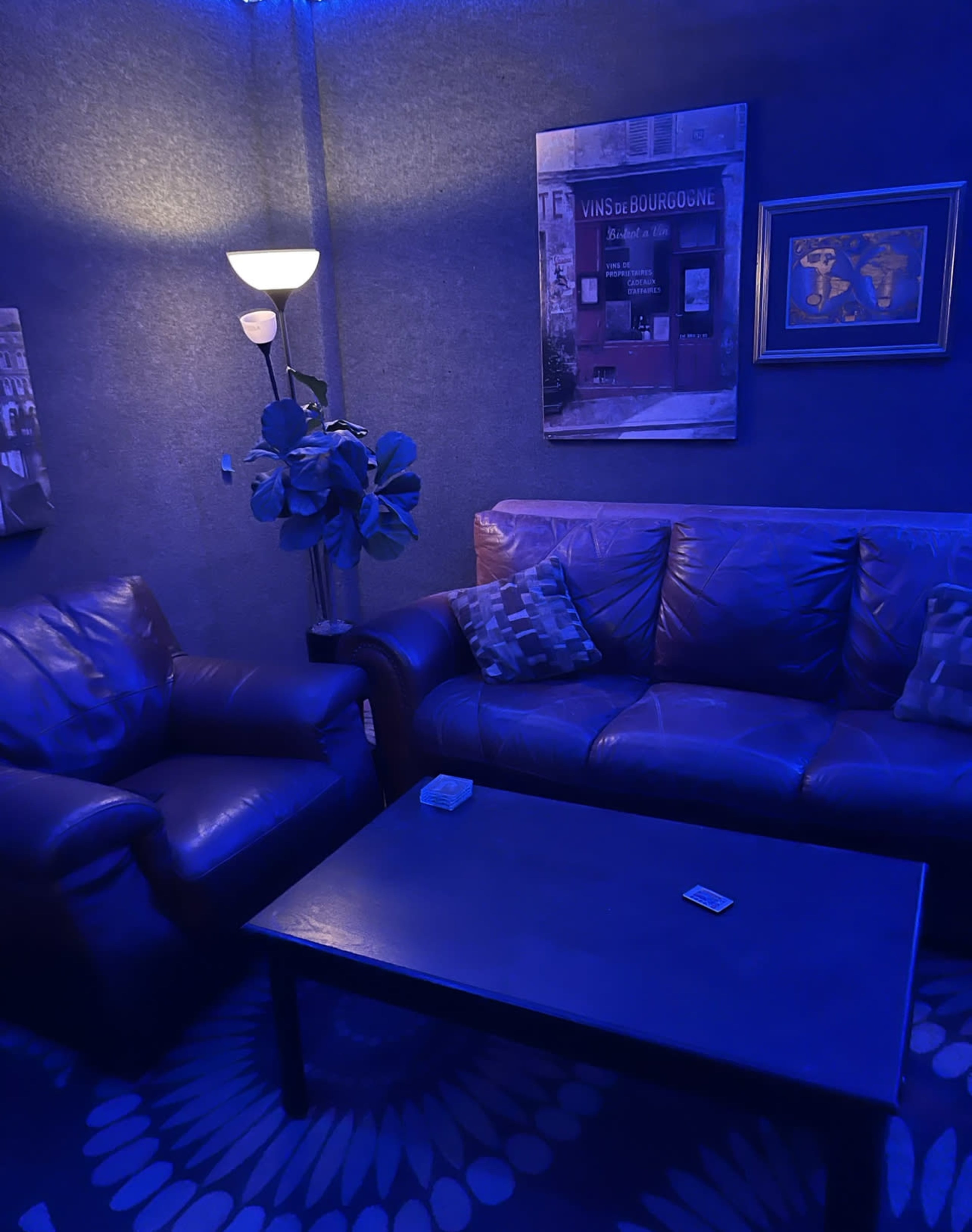A dimly lit room features leather sofas, a coffee table, a potted plant, and wall decorations under blue lighting.