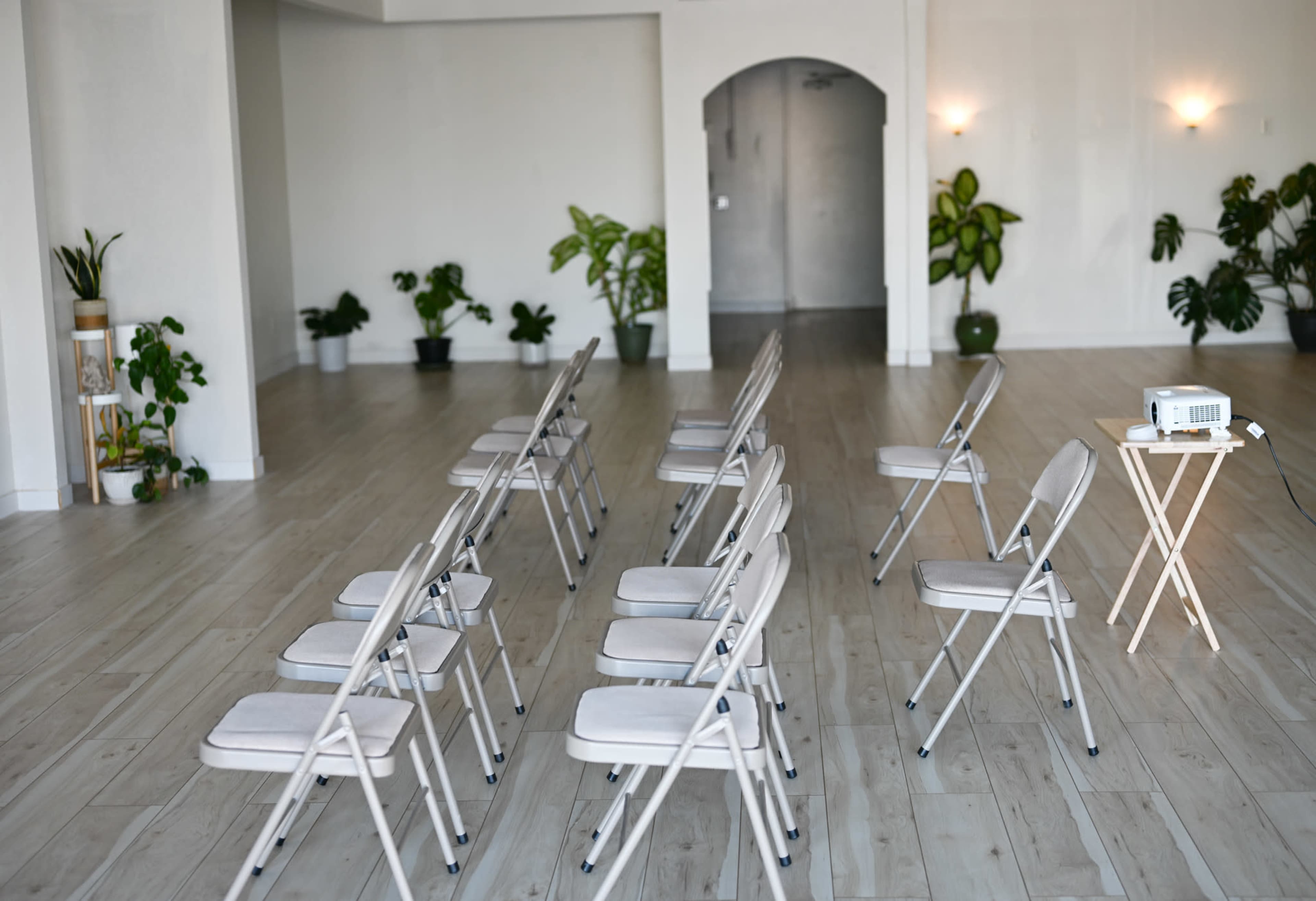 The image shows a spacious, empty room with several folding chairs arranged in rows and plants situated in pots along the walls.