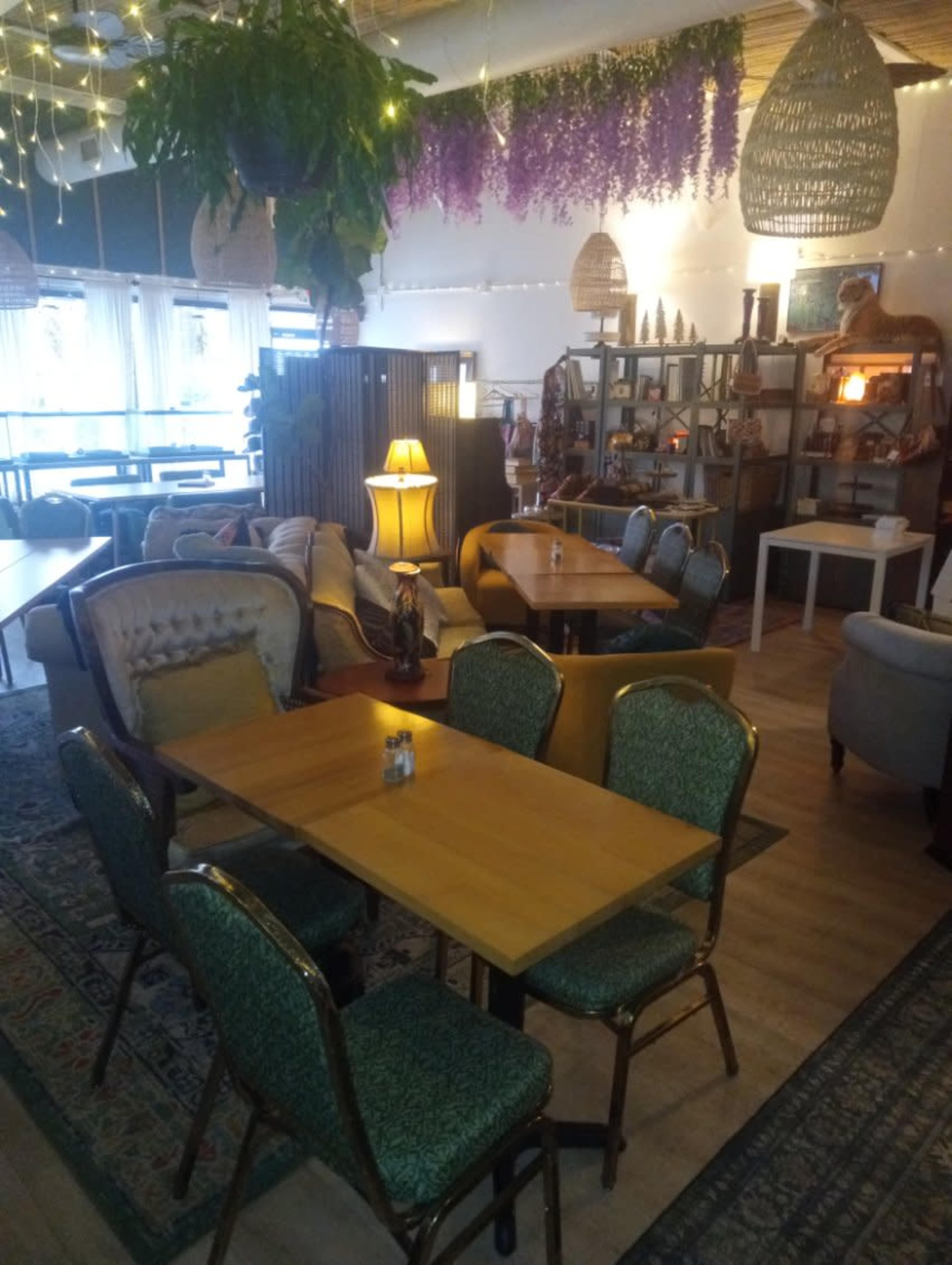 The image shows a cozy café interior with various seating arrangements, plants hanging from the ceiling, and warm lighting.