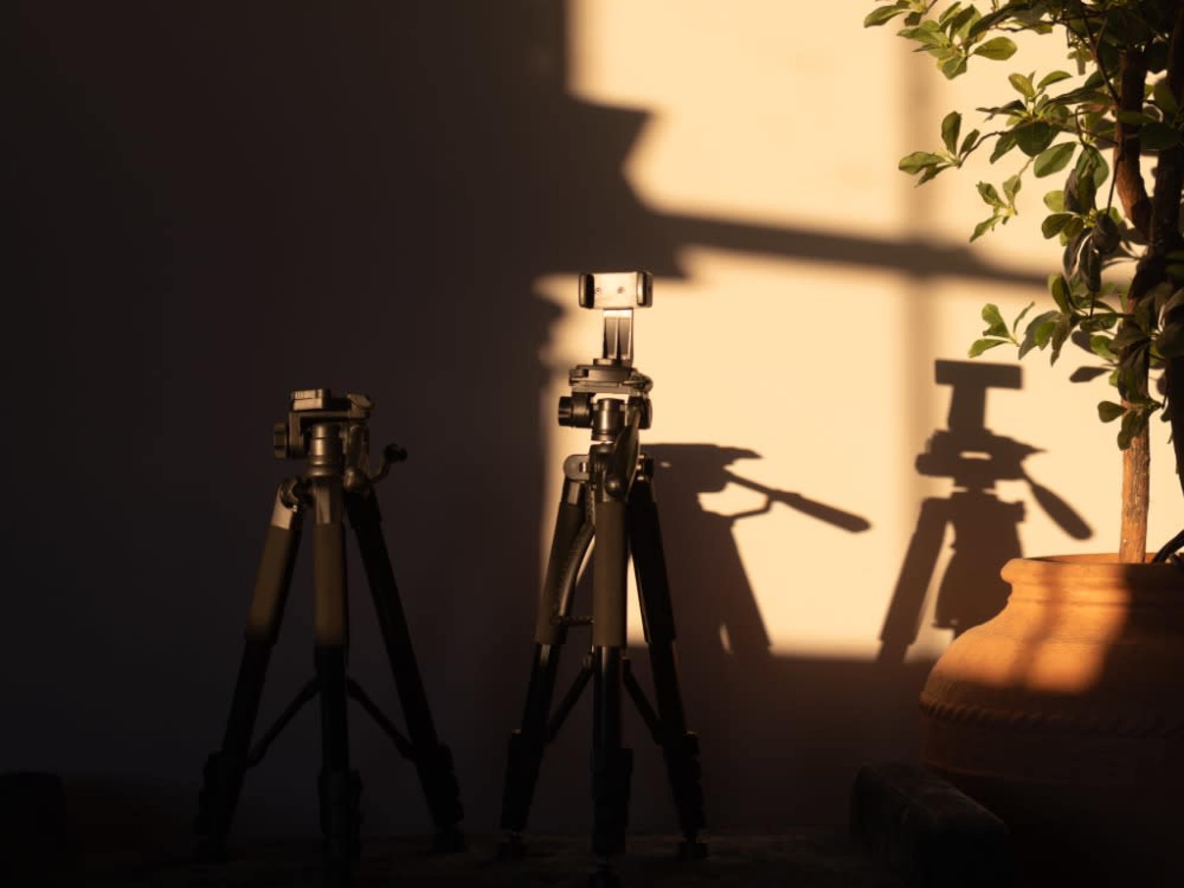 2 Tripods (Phone and Camera)