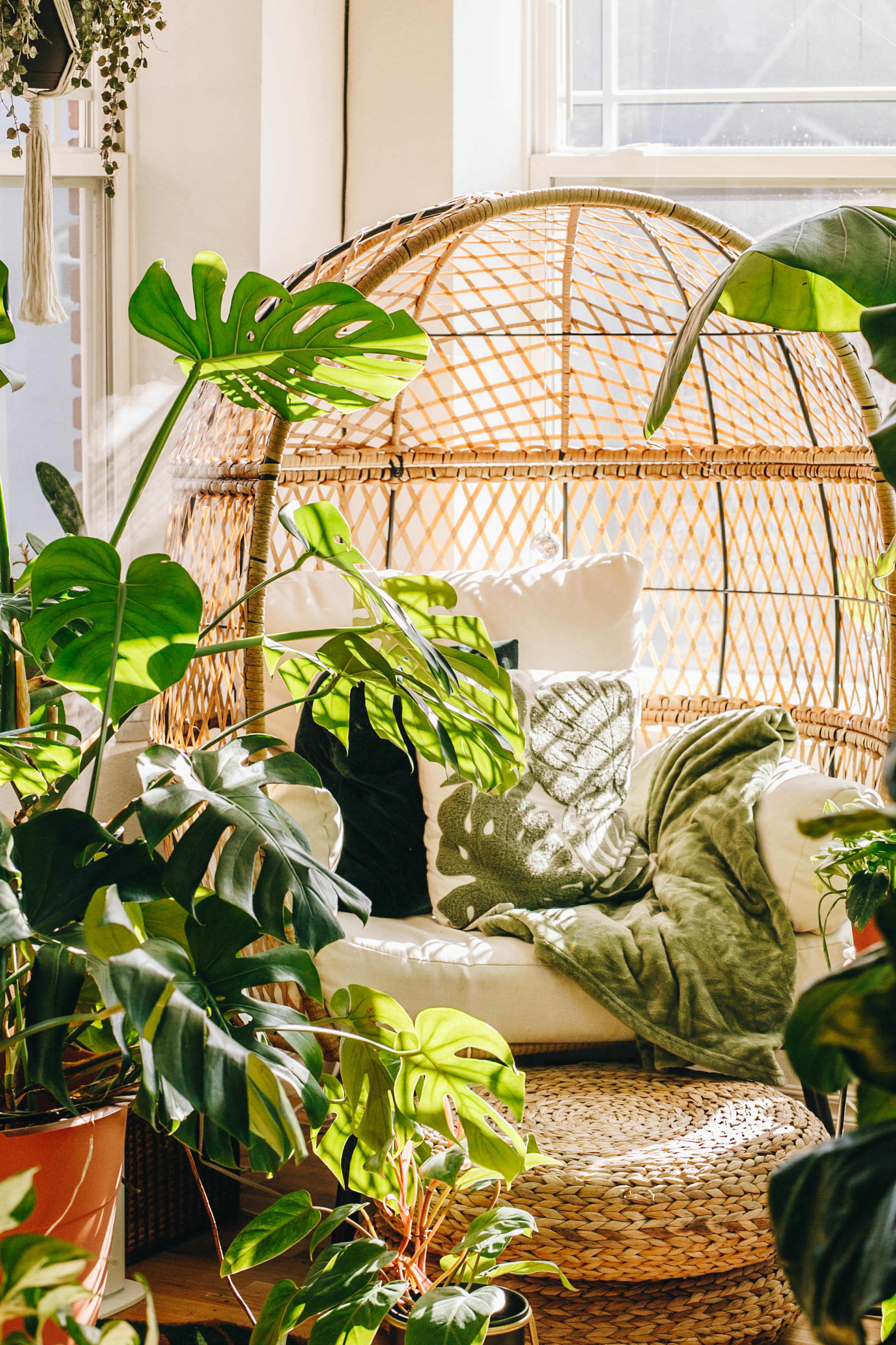 A rattan chair surrounded by various indoor plants and decorative cushions is positioned near a sunlit window.