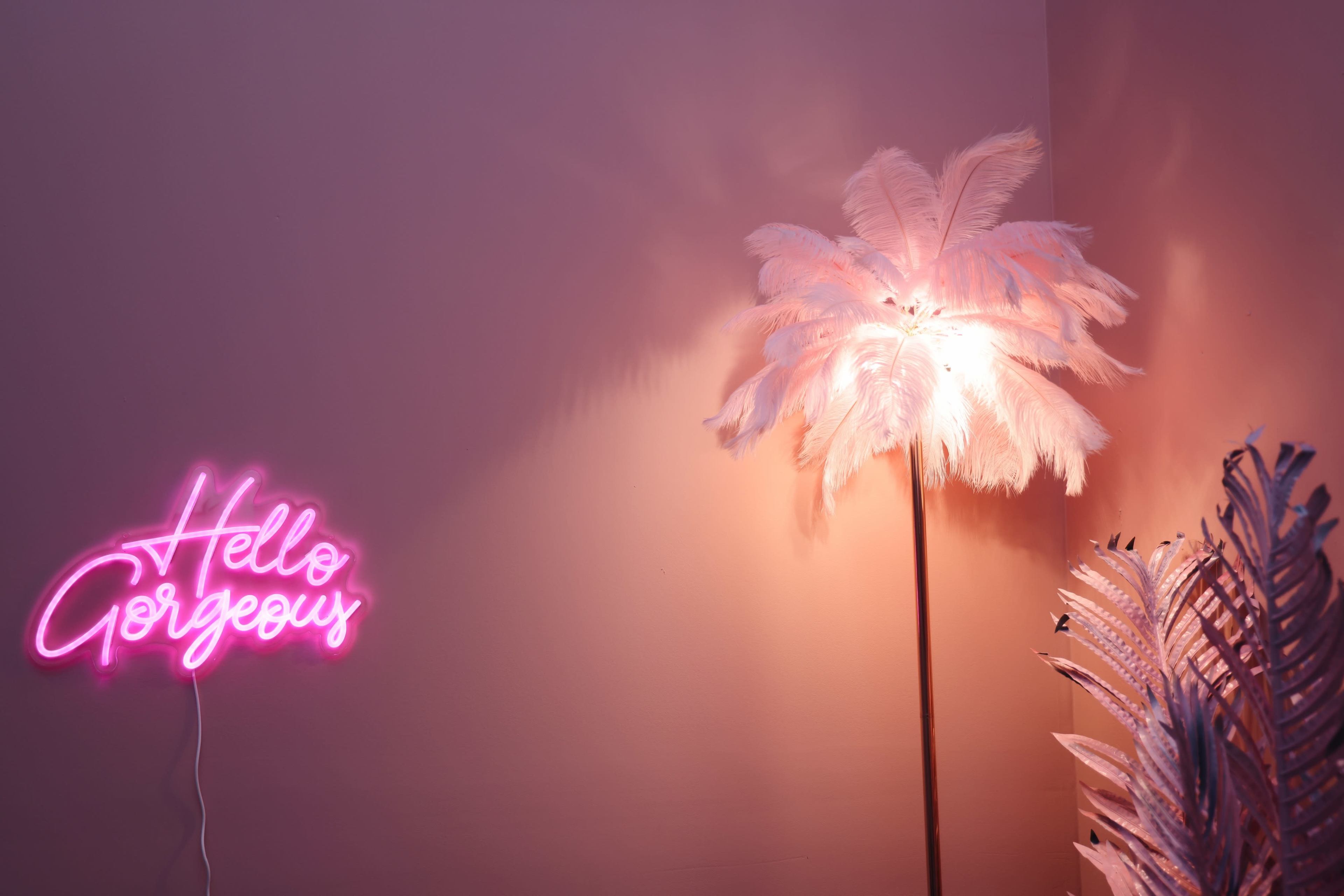 A neon sign that reads "Hello Gorgeous" is illuminated beside a feathered floor lamp and a decorative plant.