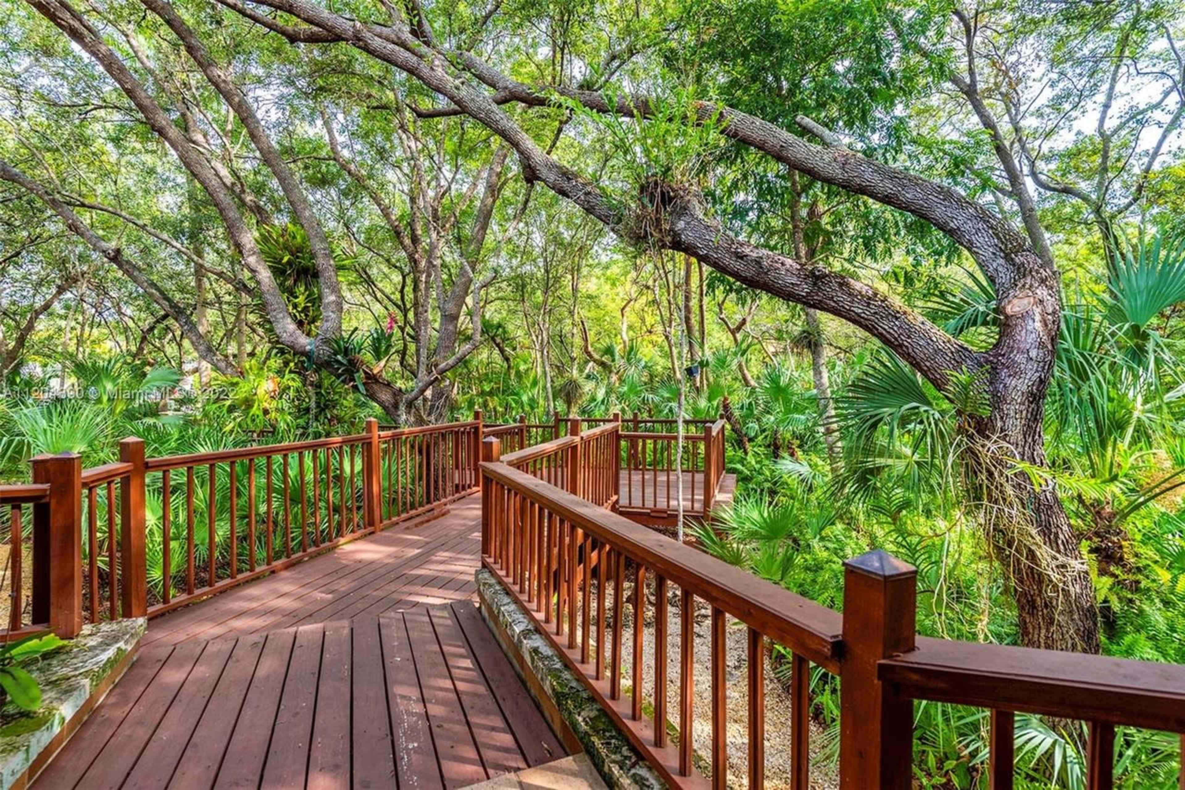 The image shows a wooden walkway winding through a lush, green forest with various plants and trees.