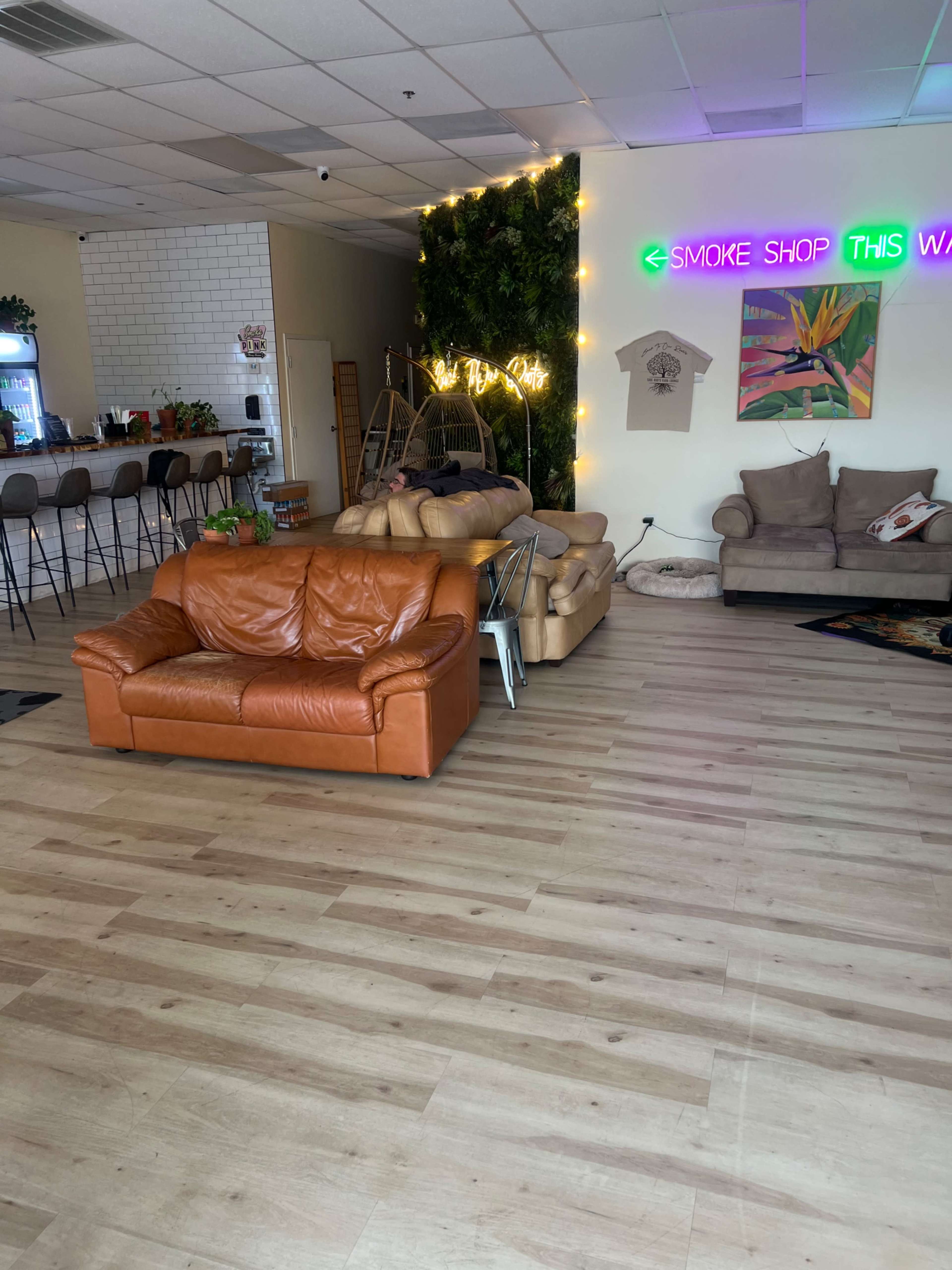 The Hangout Lounge - Ping Pong, Plants & Vibes Image in Pinellas Park, Pinellas Park, FL