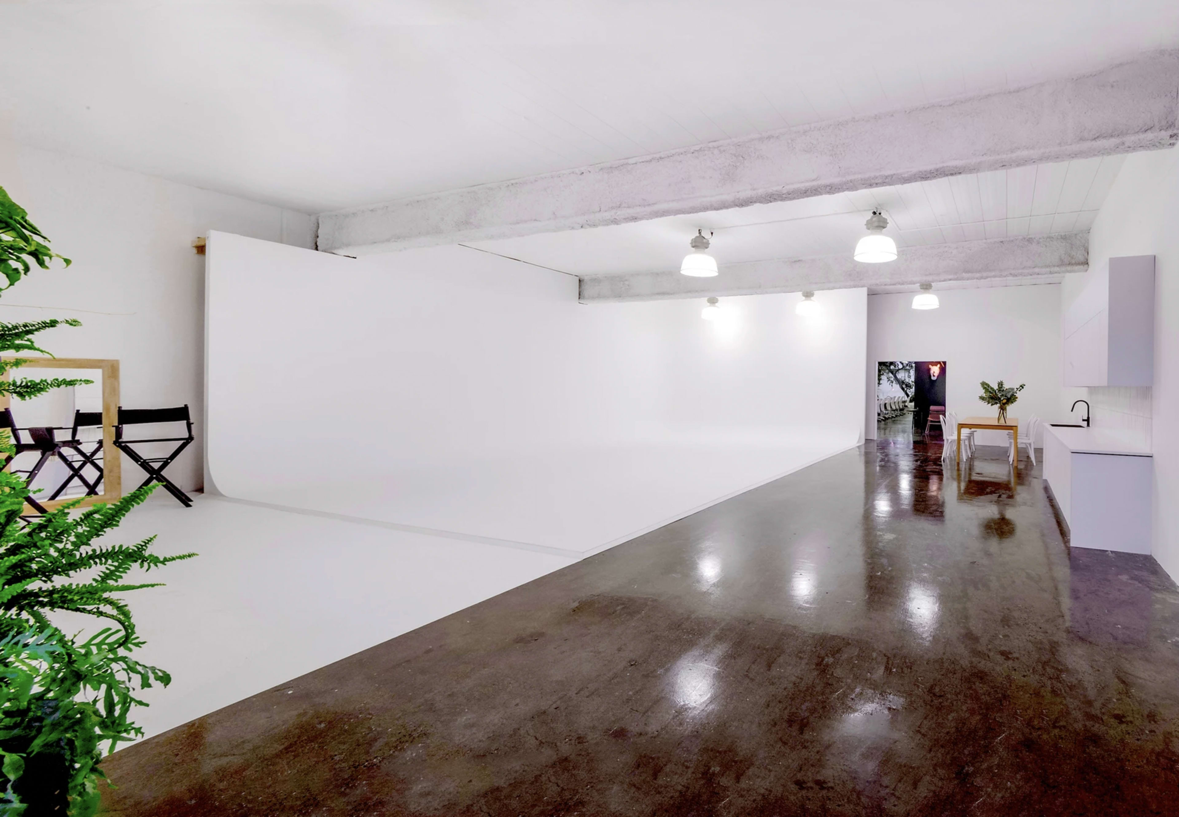 A spacious, well-lit studio featuring a white backdrop, polished concrete floor, and minimal furnishings including a plant and a small table.