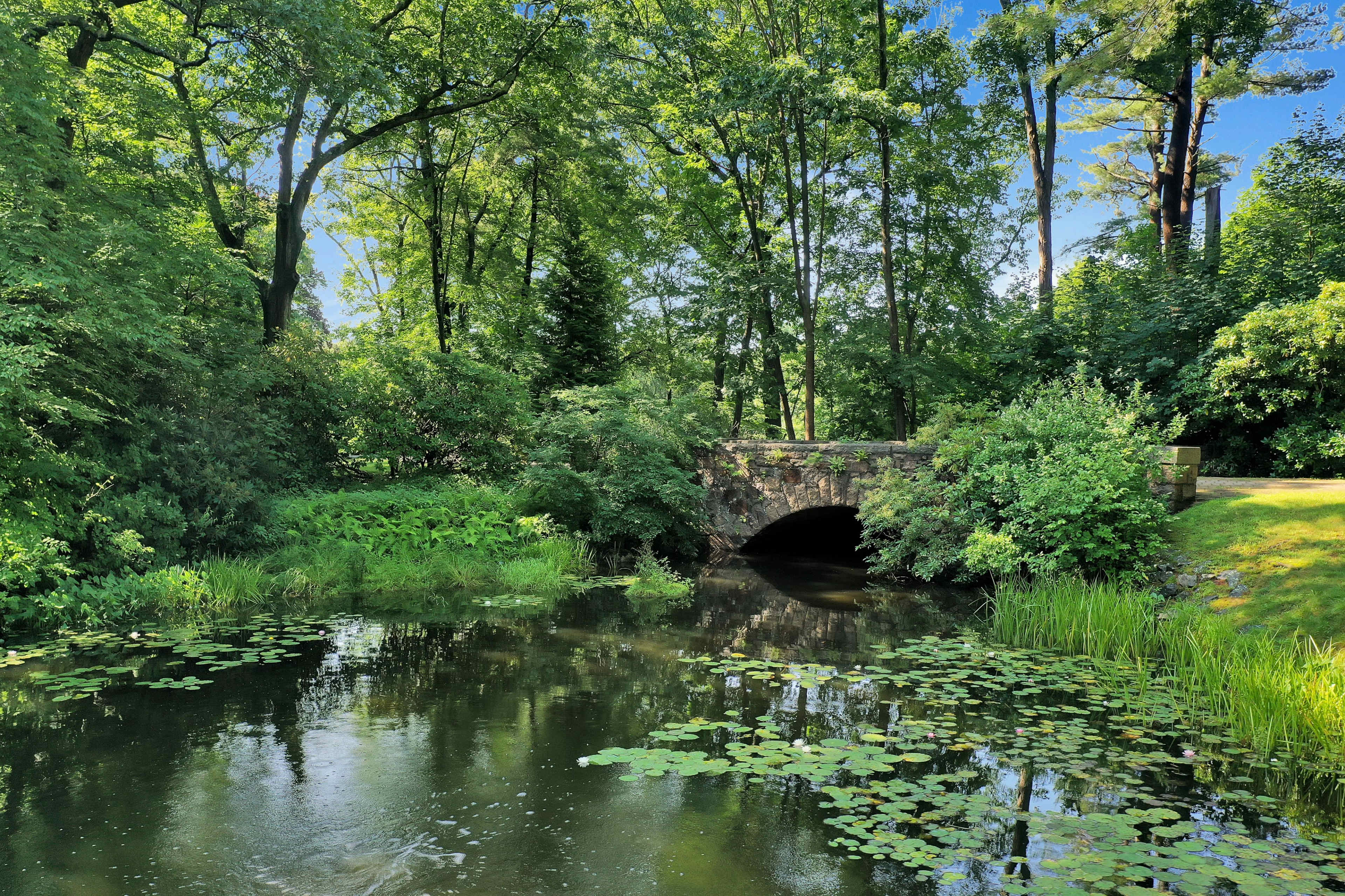 A stone arch bridge crosses over a calm pond surrounded by lush greenery and lily pads.