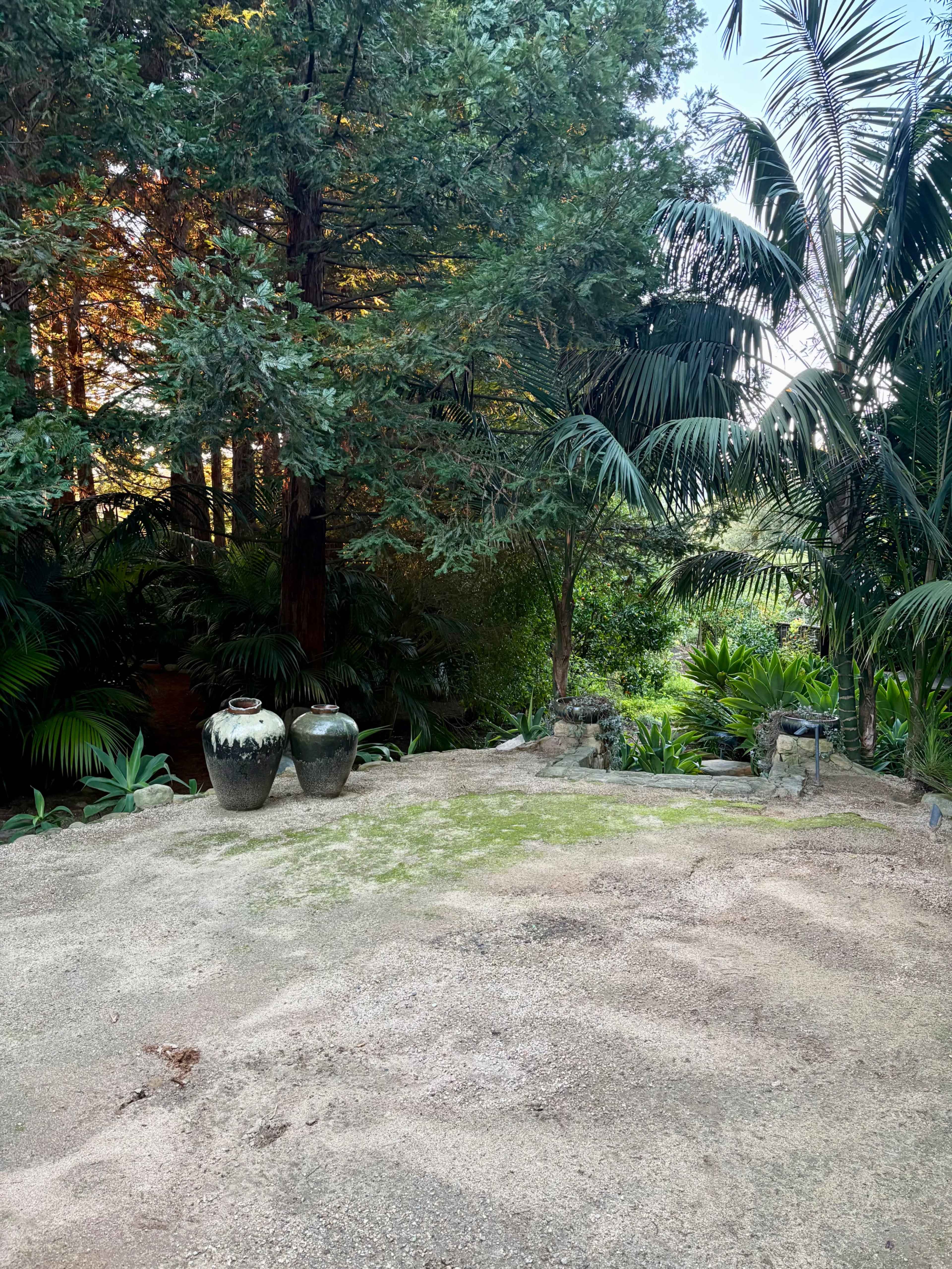 Lush Bali-Inspired Garden in a Redwood Grove Image in Montecito, Santa Barbara, CA