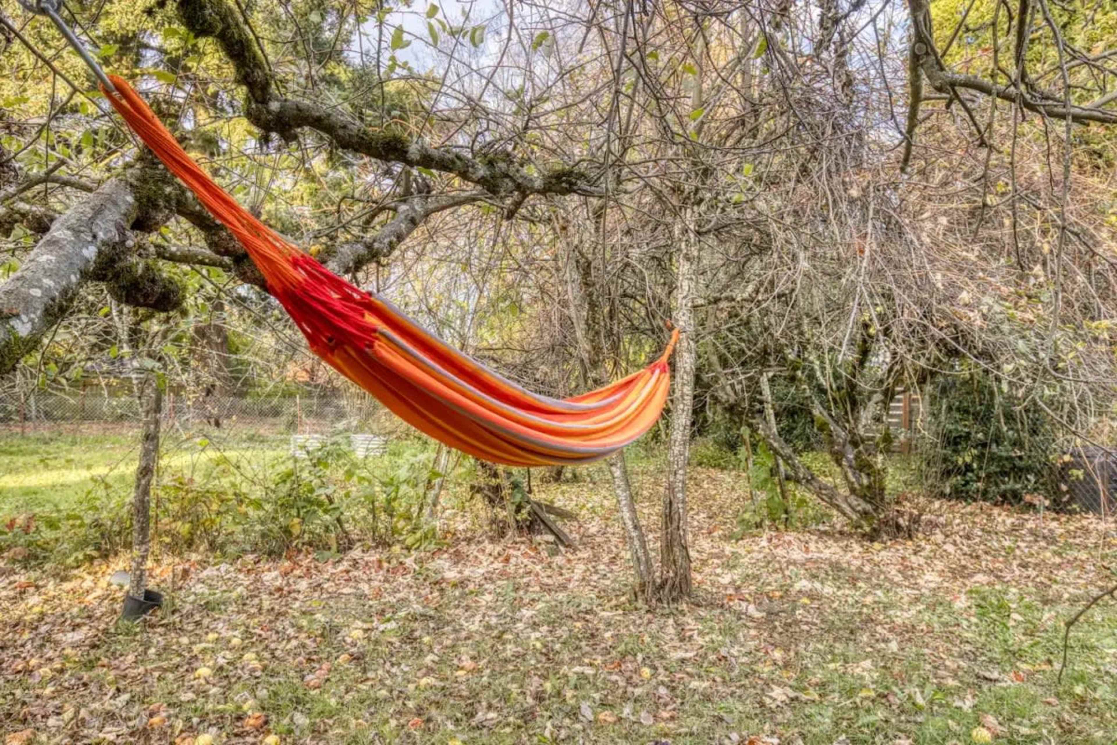 A colorful hammock is suspended between two trees in a grassy area surrounded by fallen leaves.