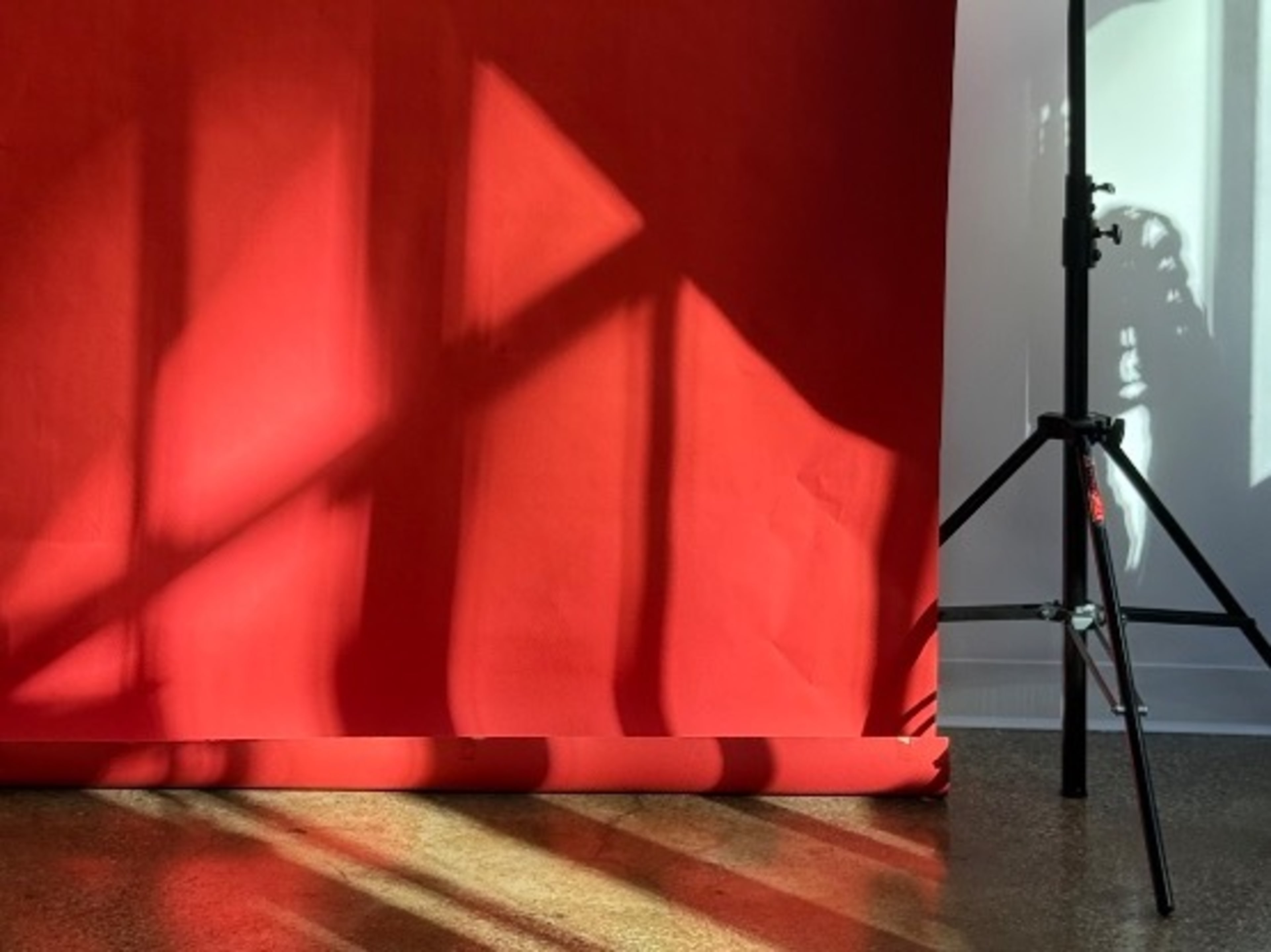 Seamless backdrop cut