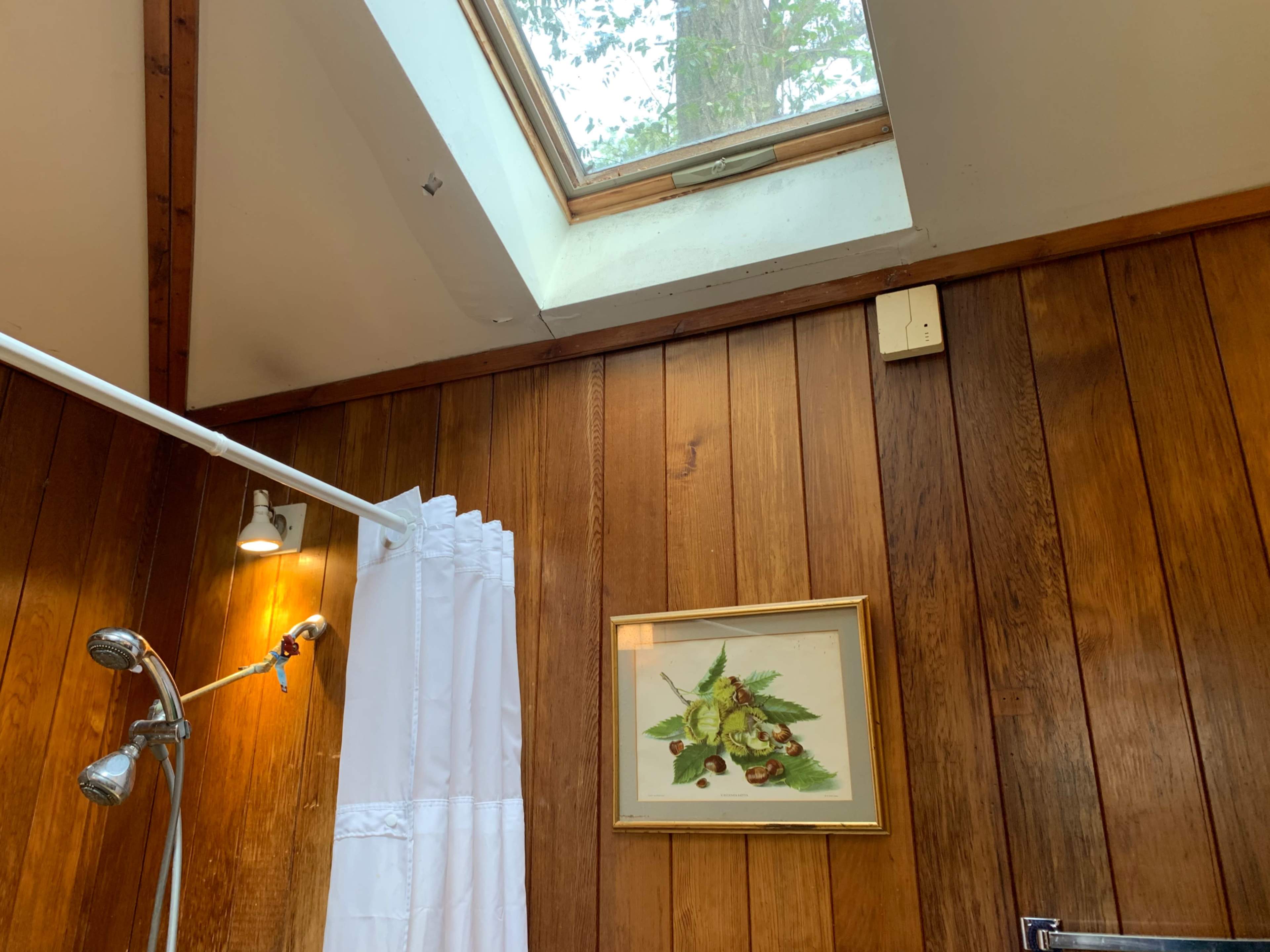 A bathroom with wooden paneling, featuring a skylight, a shower with a curtain, and a framed artwork on the wall.